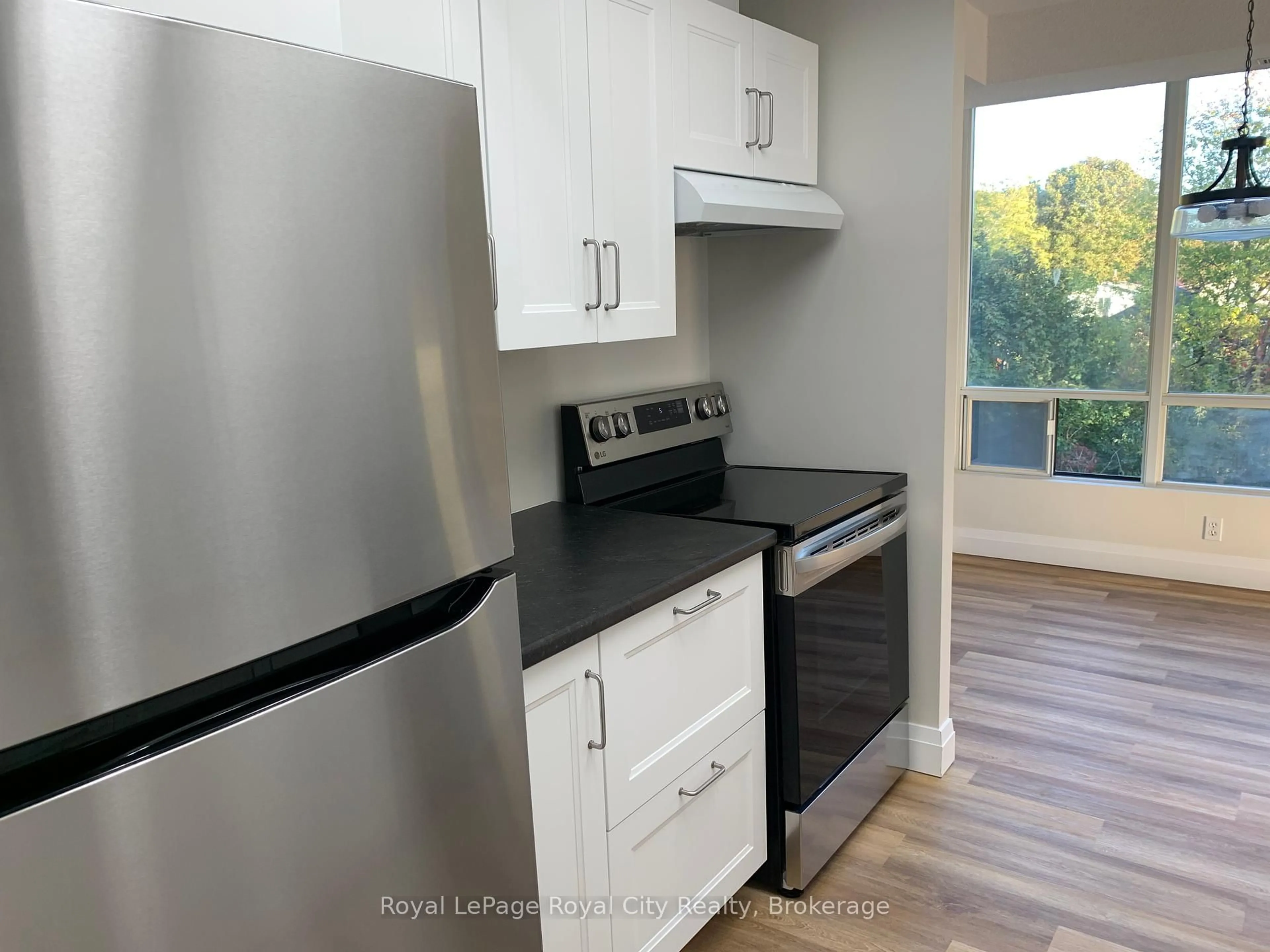 Standard kitchen, wood/laminate floor for 105 Bagot St #301, Guelph Ontario N1H 8H4