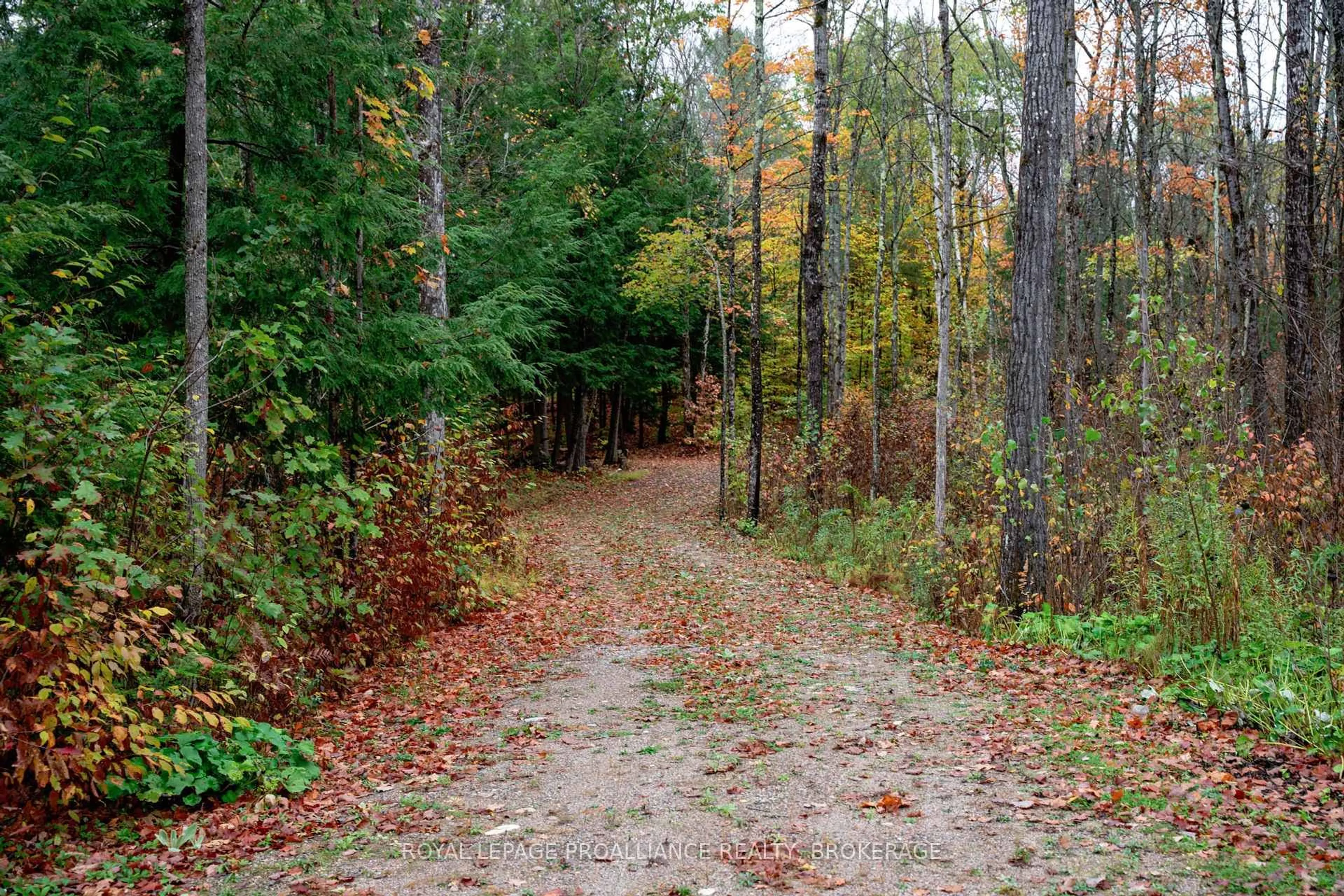 Patio, forest/trees view for 1060 Nordic Rd, Arden Ontario K0H 1B0