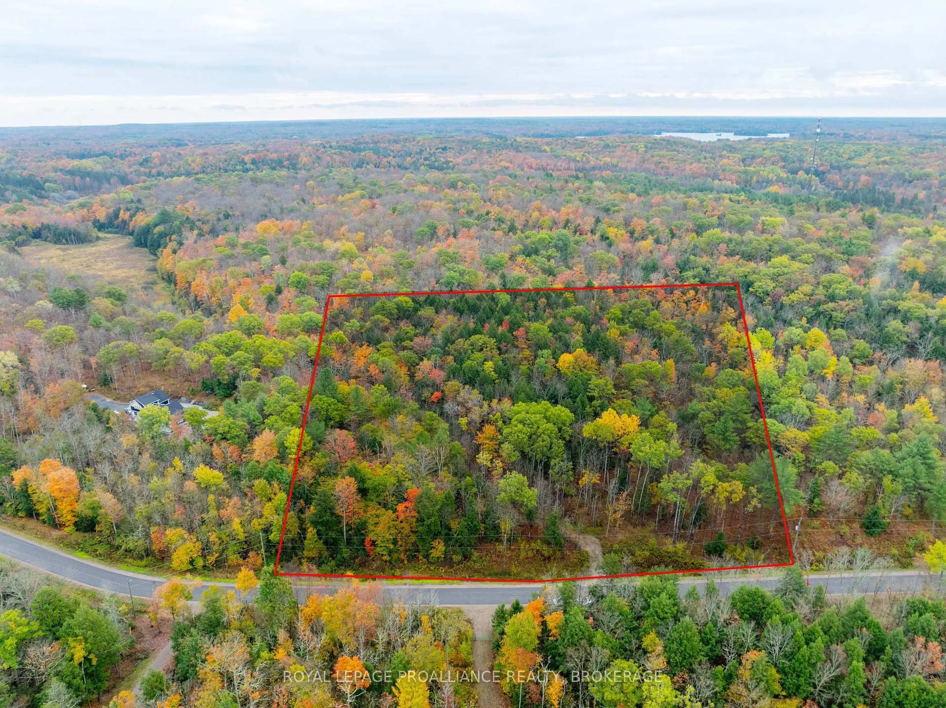 A pic from outside/outdoor area/front of a property/back of a property/a pic from drone, forest/trees view for 1060 Nordic Rd, Arden Ontario K0H 1B0