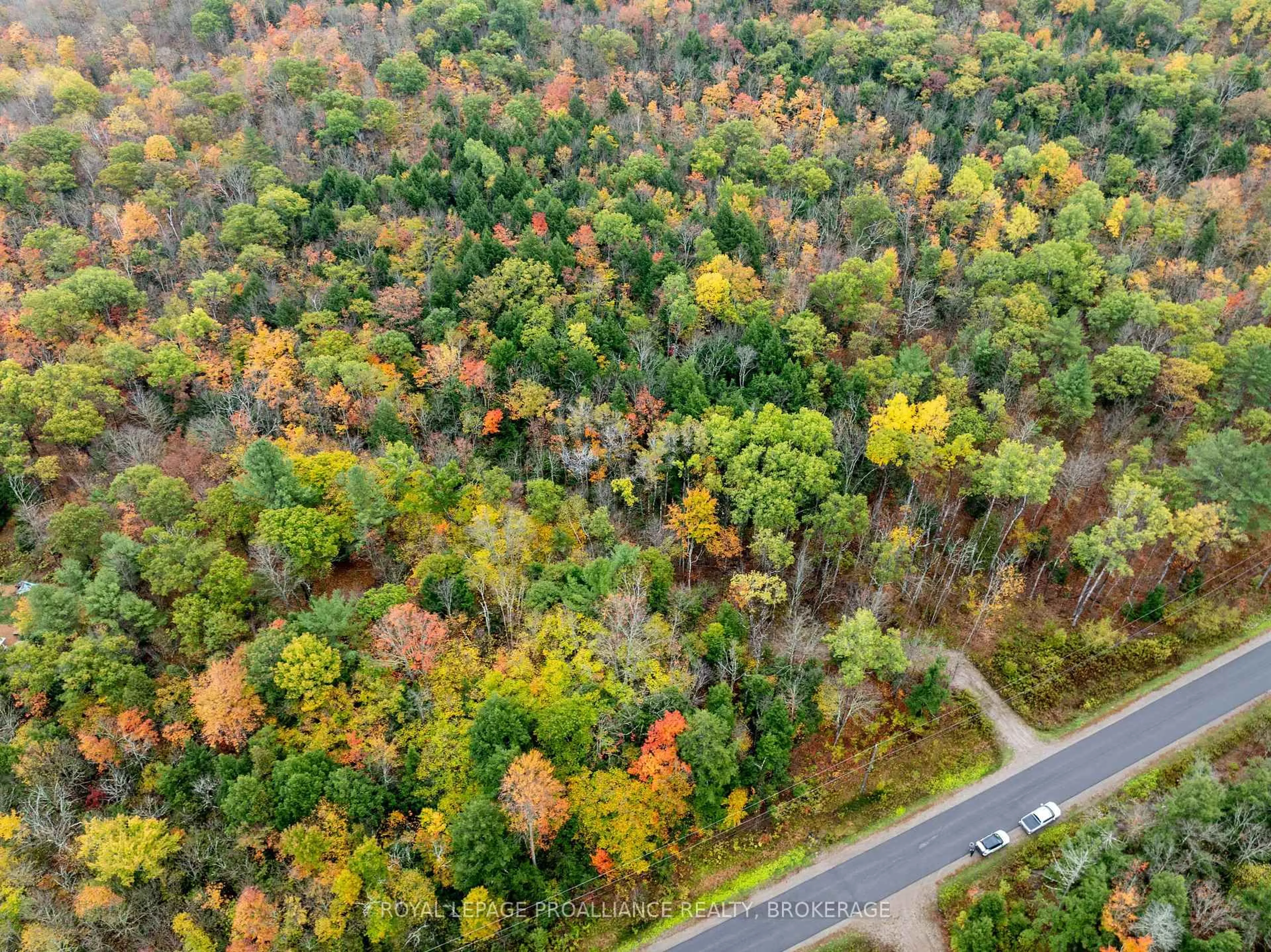 A pic from outside/outdoor area/front of a property/back of a property/a pic from drone, forest/trees view for 1060 Nordic Rd, Arden Ontario K0H 1B0