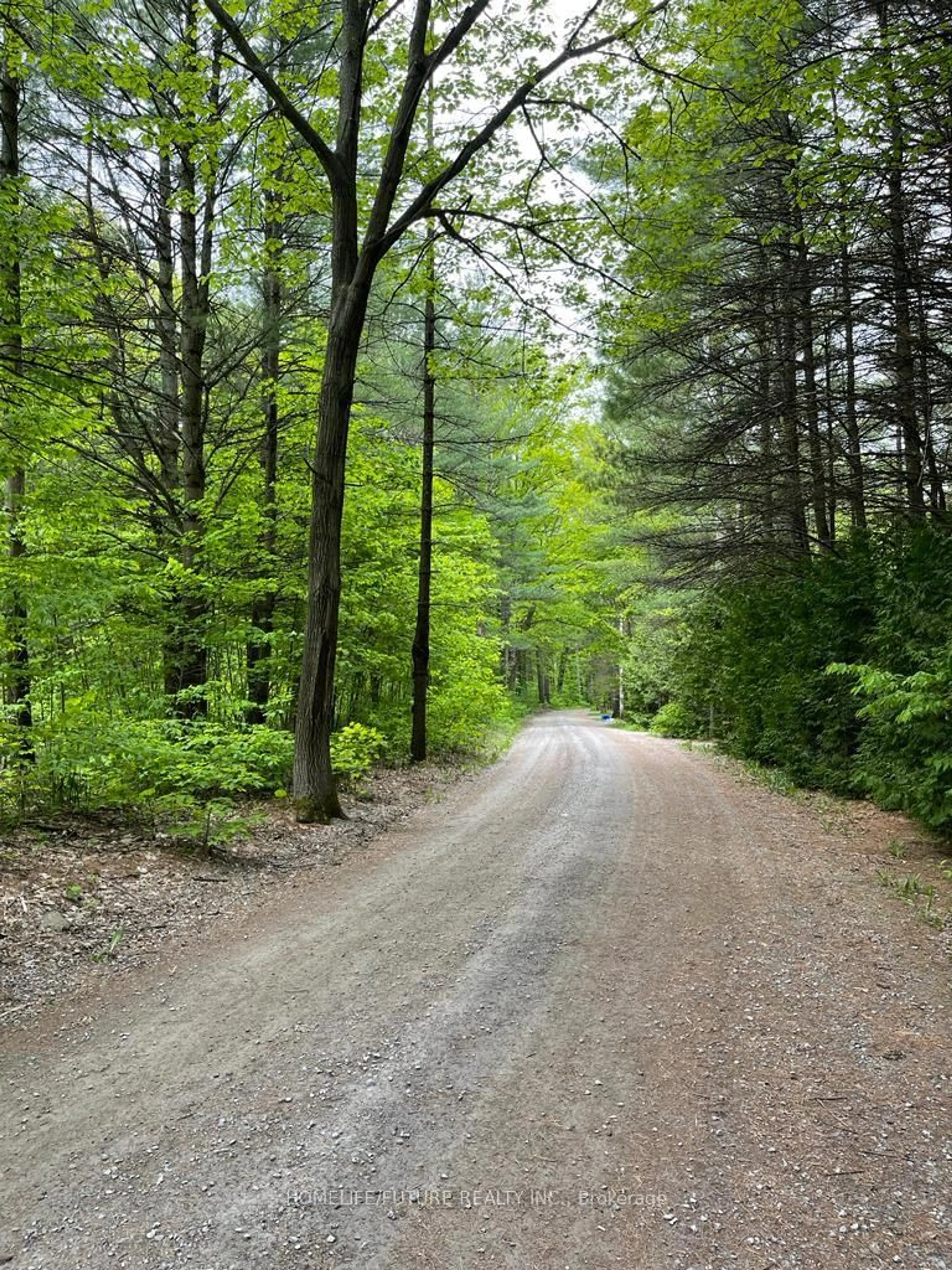 Blurry image for 179 Stanley Rd, Kawartha Lakes Ontario K0M 2T0