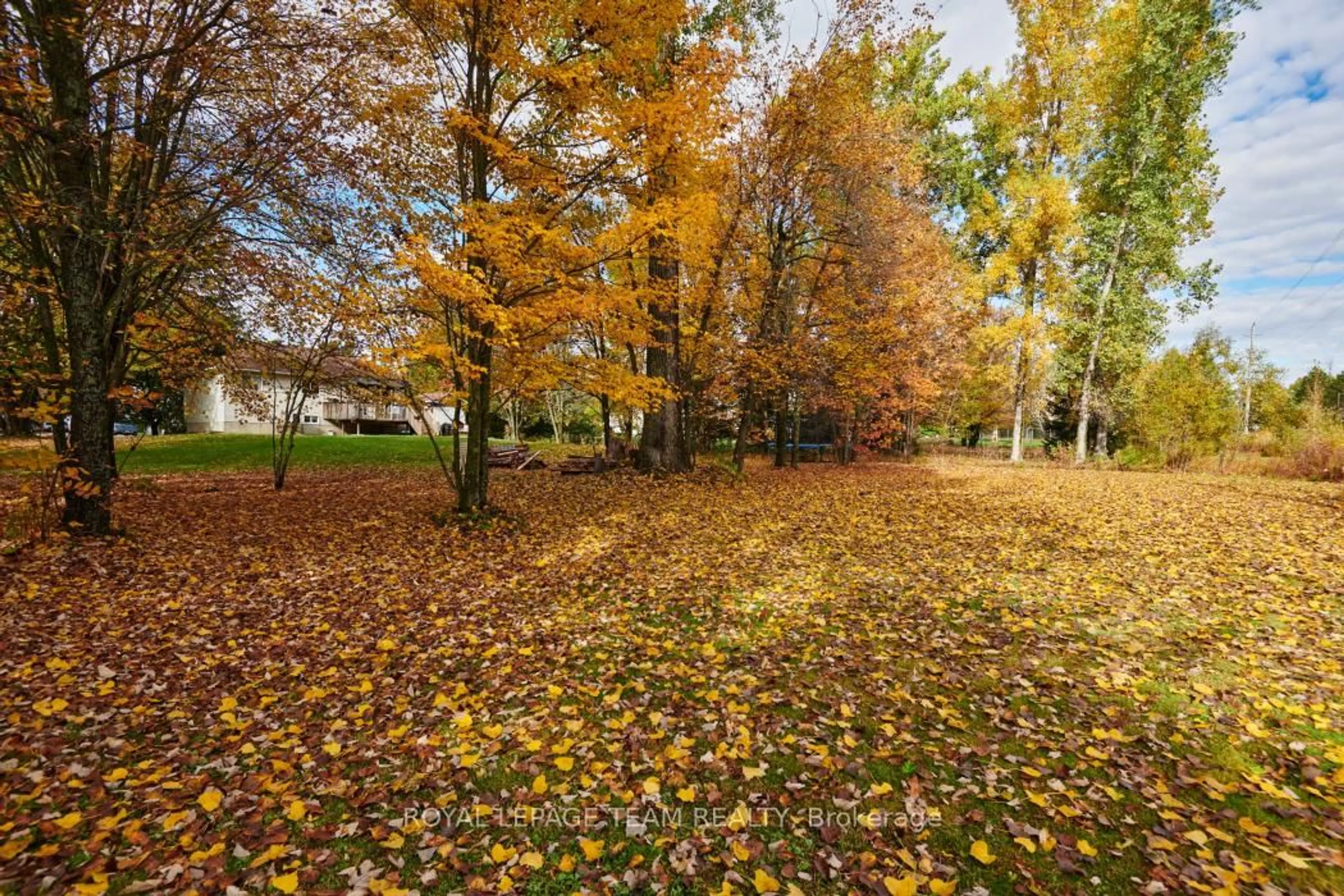 Patio, forest/trees view for 1115 Des Cerisiers St, Clarence-Rockland Ontario K4K 1K9