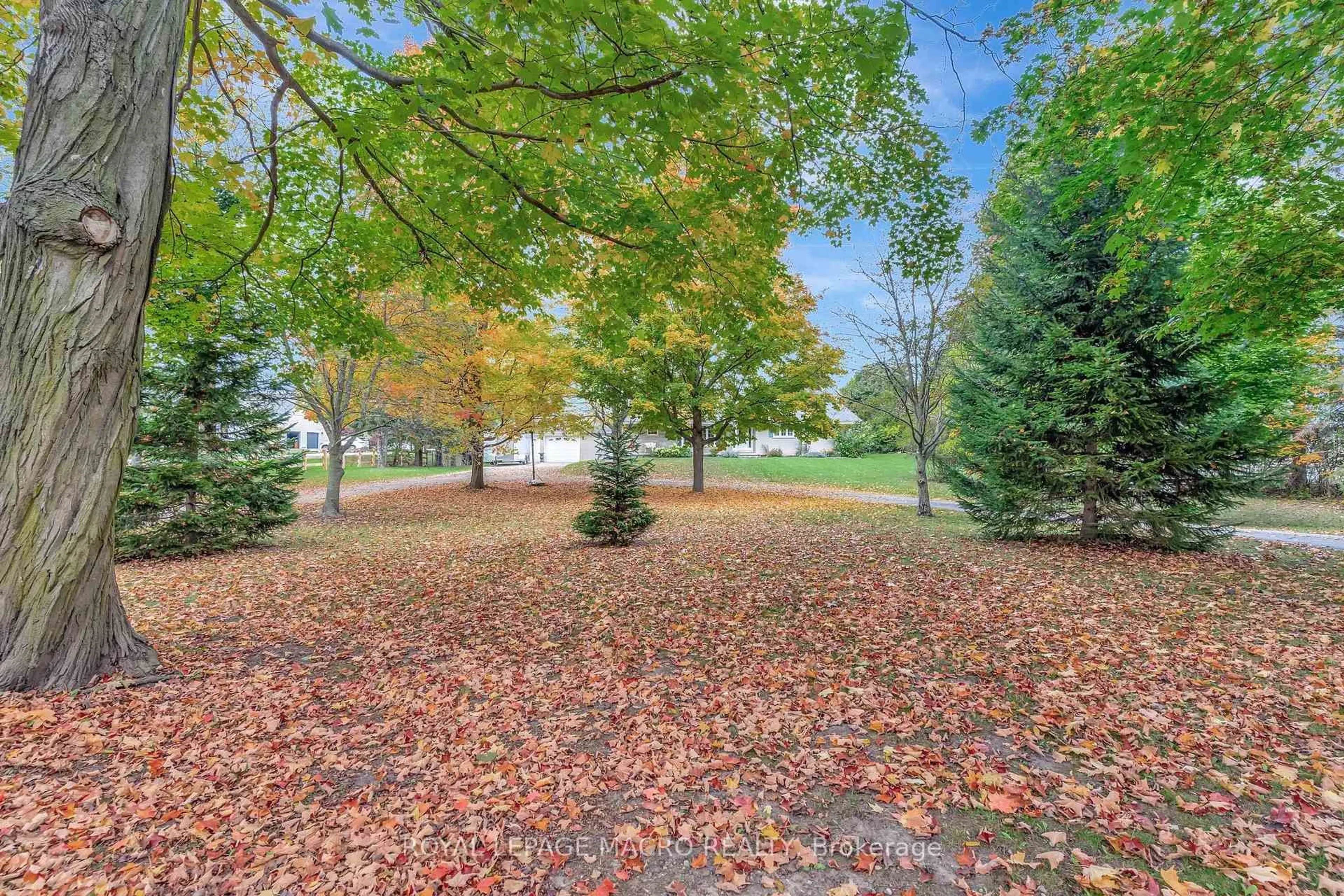 Patio, forest/trees view for 6692 Gore Rd, Puslinch Ontario N0B 2J0