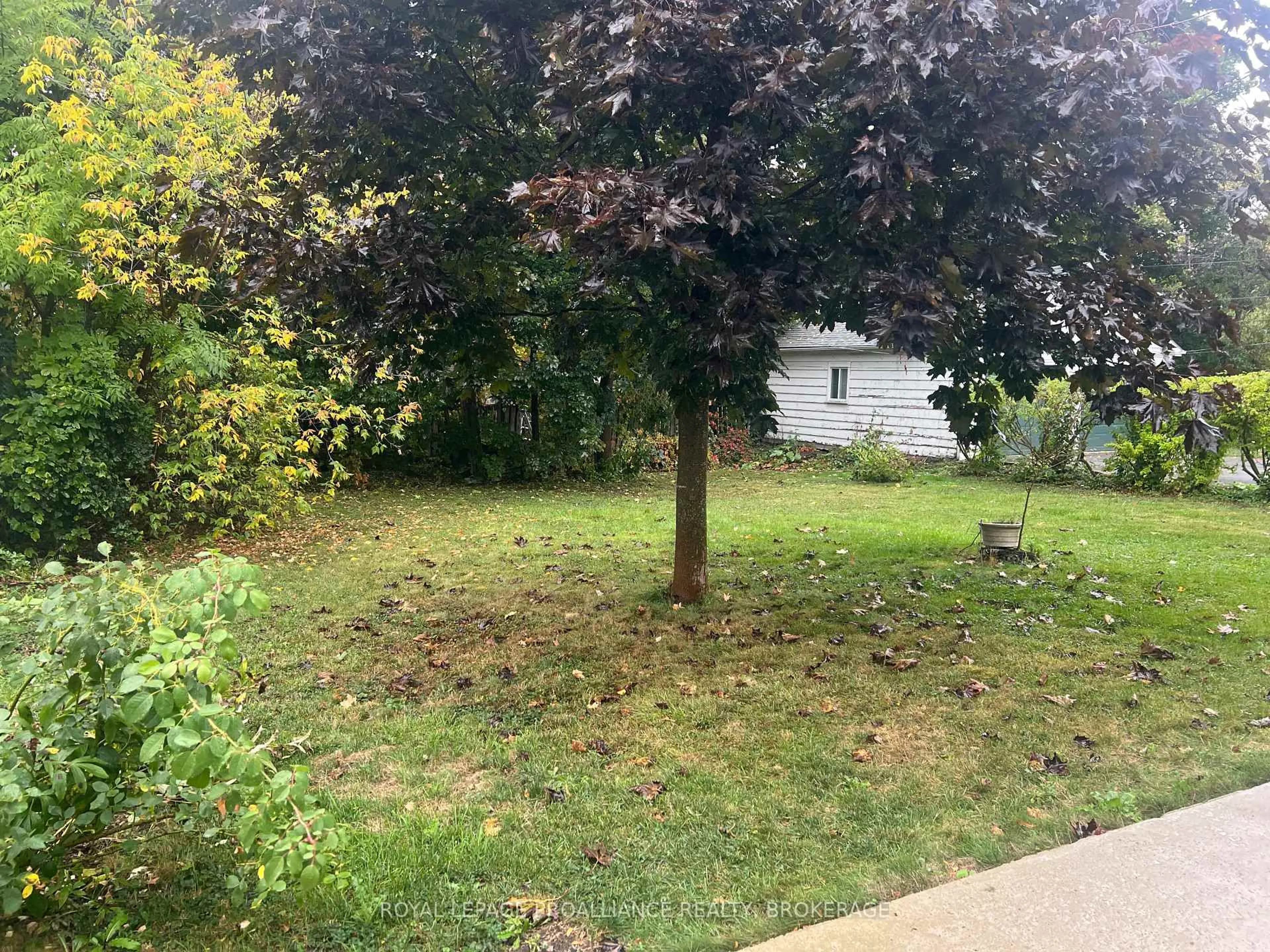 A pic from outside/outdoor area/front of a property/back of a property/a pic from drone, forest/trees view for 40 Westmoreland Rd, Kingston Ontario K7M 1J5