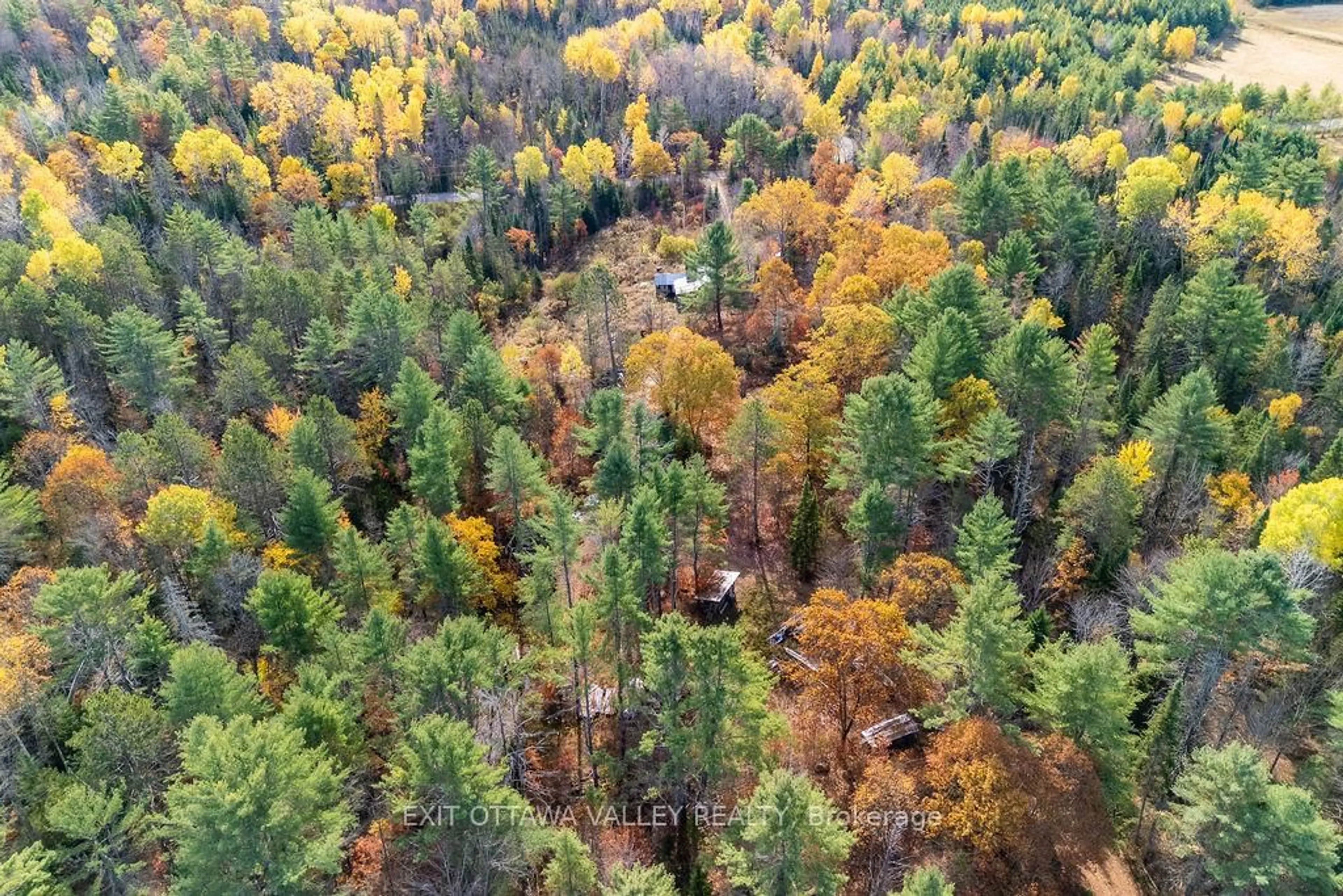 A pic from outside/outdoor area/front of a property/back of a property/a pic from drone, forest/trees view for 1794 Tramore Rd, Golden Lake Ontario K0J 1X0