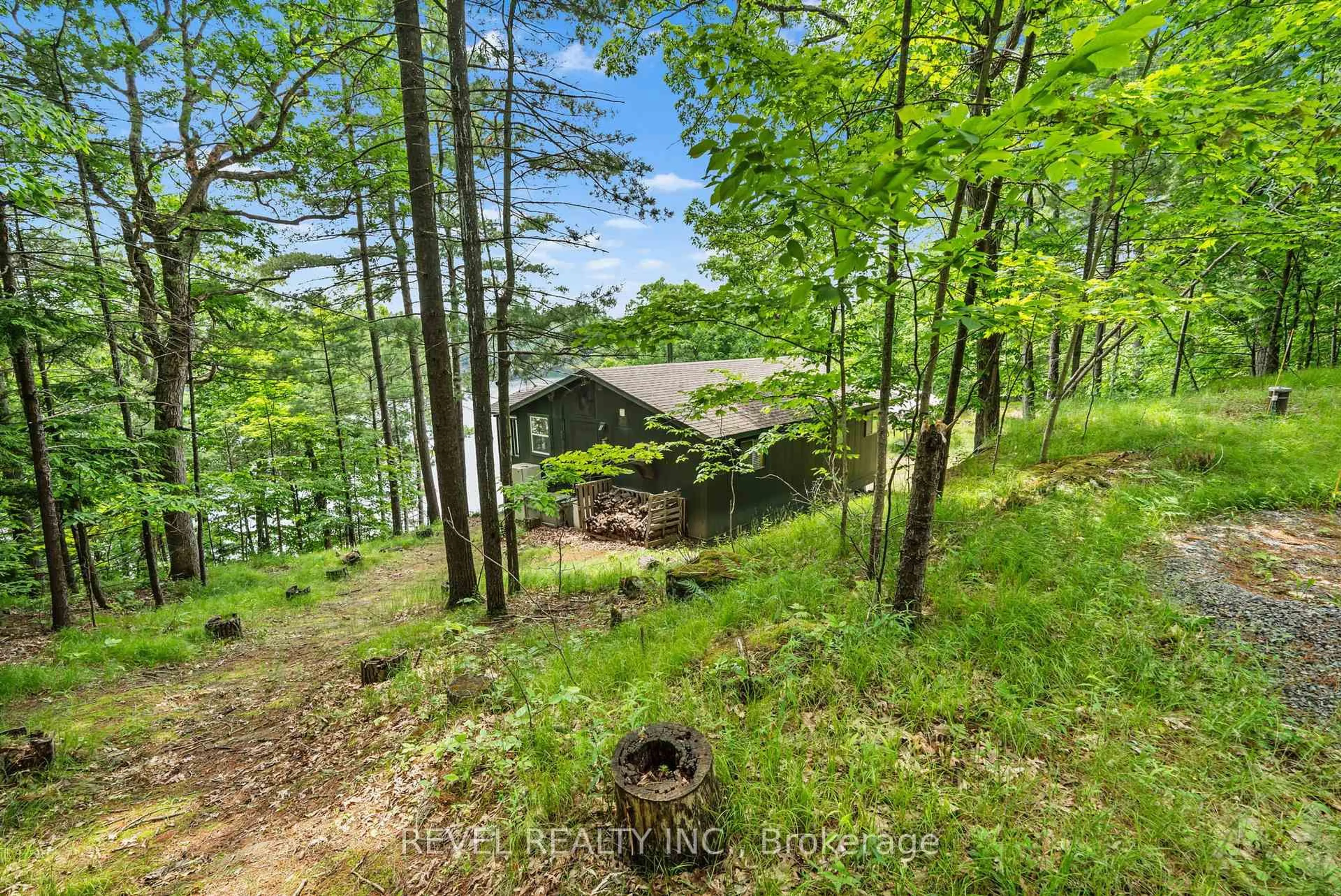 A pic from outside/outdoor area/front of a property/back of a property/a pic from drone, forest/trees view for 49 Sleepy Hollow Rd, Rideau Lakes Ontario K0G 1E0