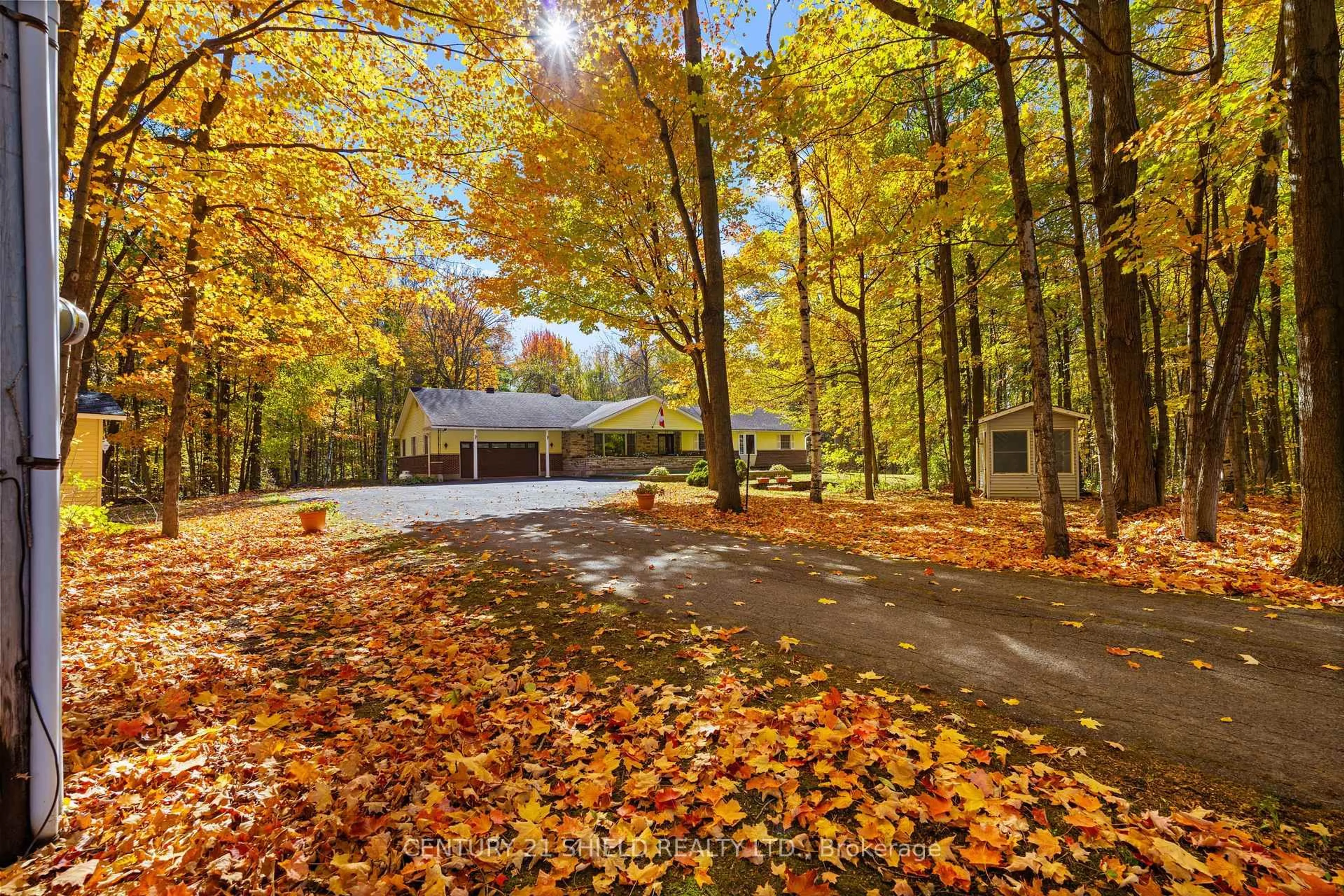Patio, forest/trees view for 19602 Caber Rd, South Glengarry Ontario K0C 1S0