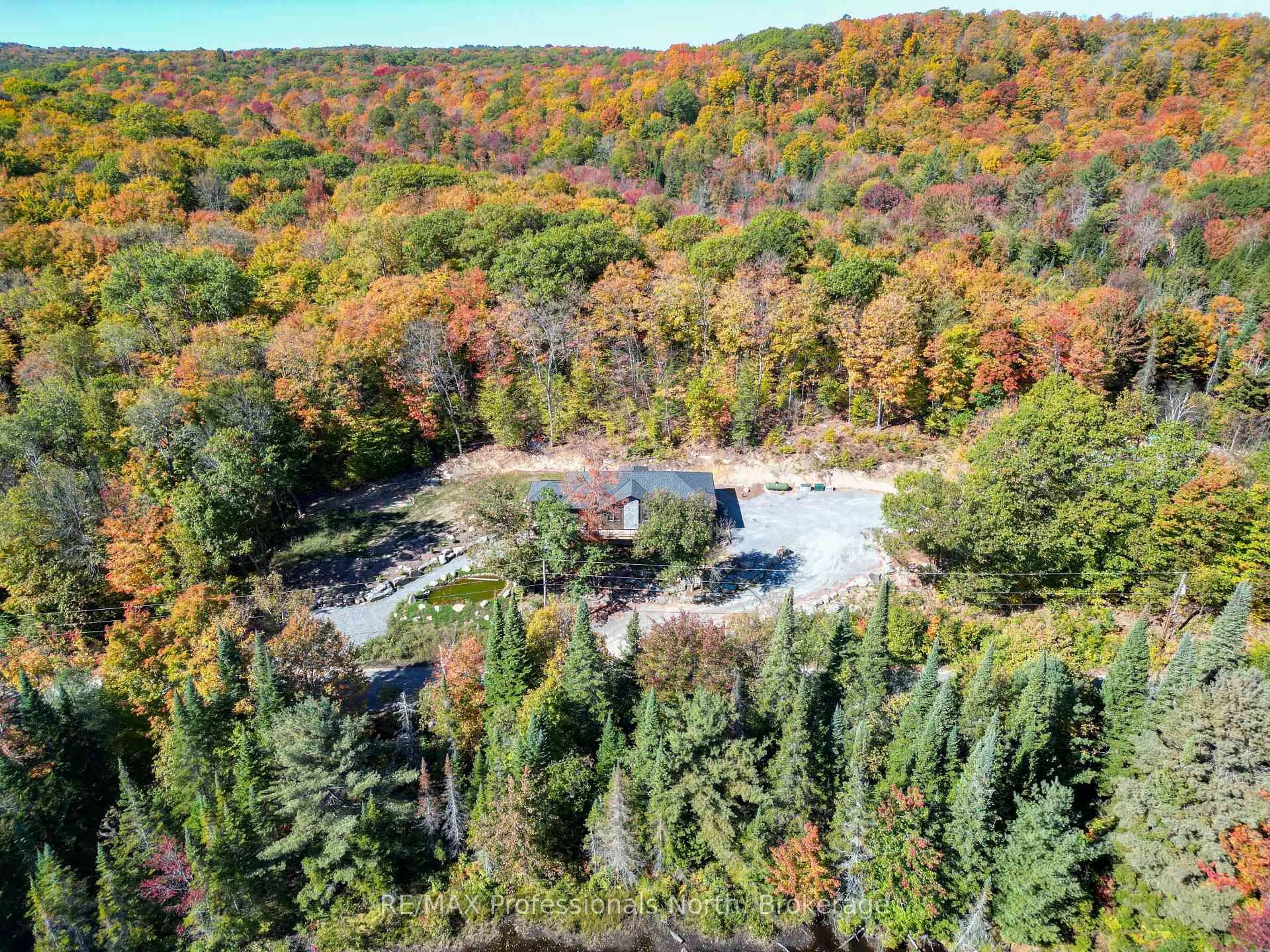 A pic from outside/outdoor area/front of a property/back of a property/a pic from drone, forest/trees view for 1203 Burlmarie Rd, Lake of Bays Ontario P0B 1A0