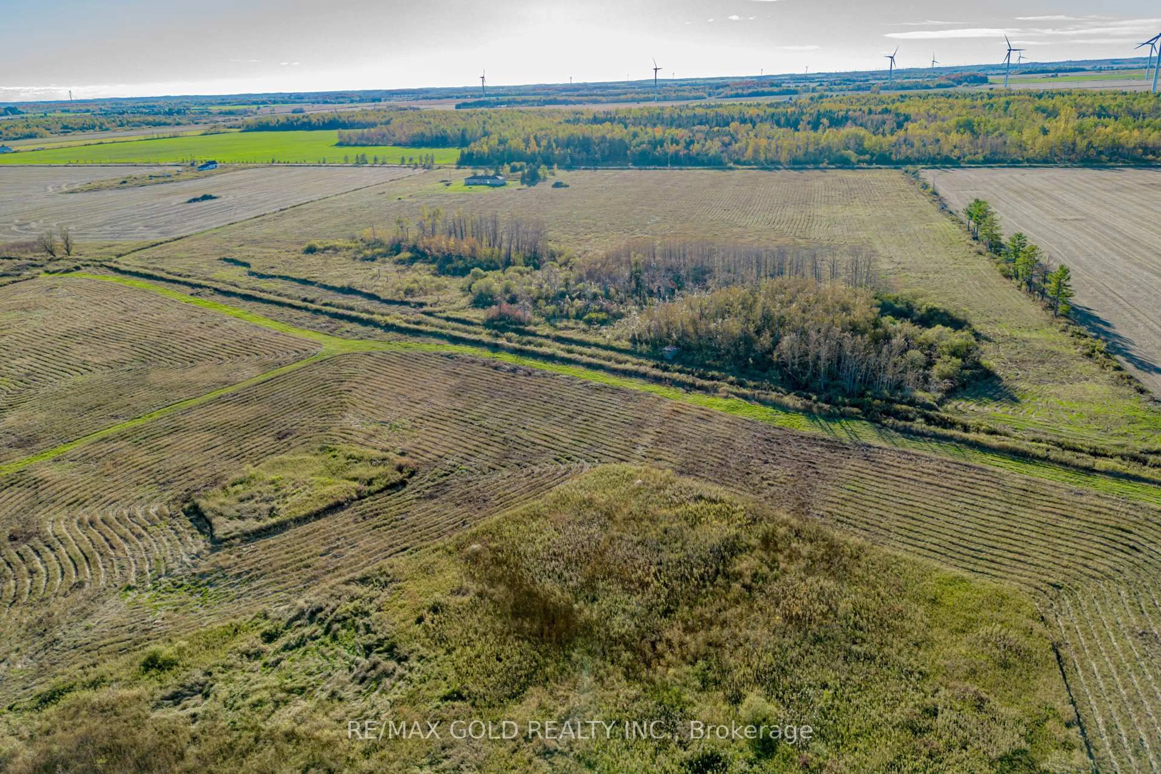 A pic from outside/outdoor area/front of a property/back of a property/a pic from drone, forest/trees view for 255505 9th Line, Amaranth Ontario L0N 1S5