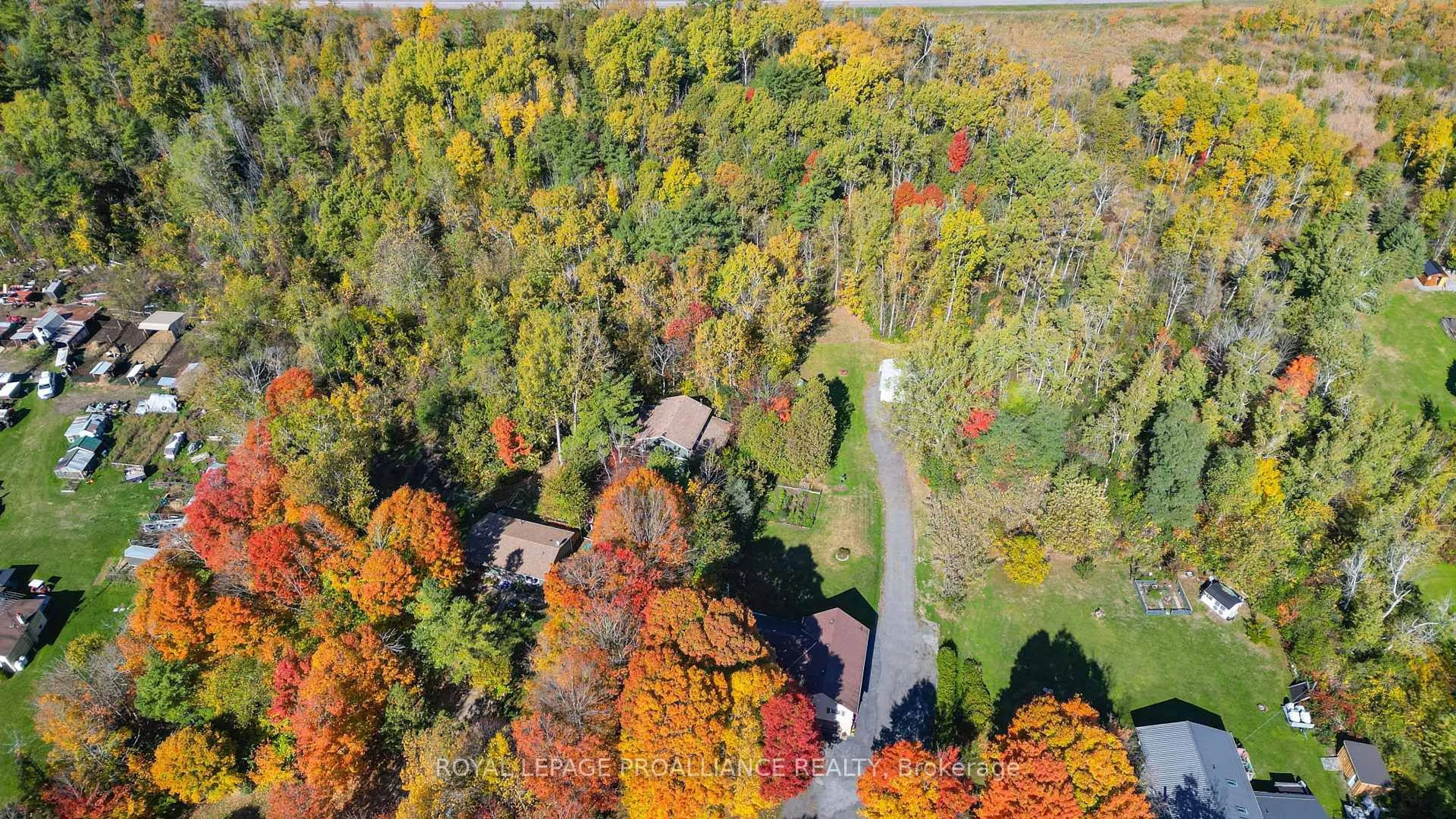 A pic from outside/outdoor area/front of a property/back of a property/a pic from drone, forest/trees view for 16276 Telephone Rd, Brighton Ontario K0K 1H0