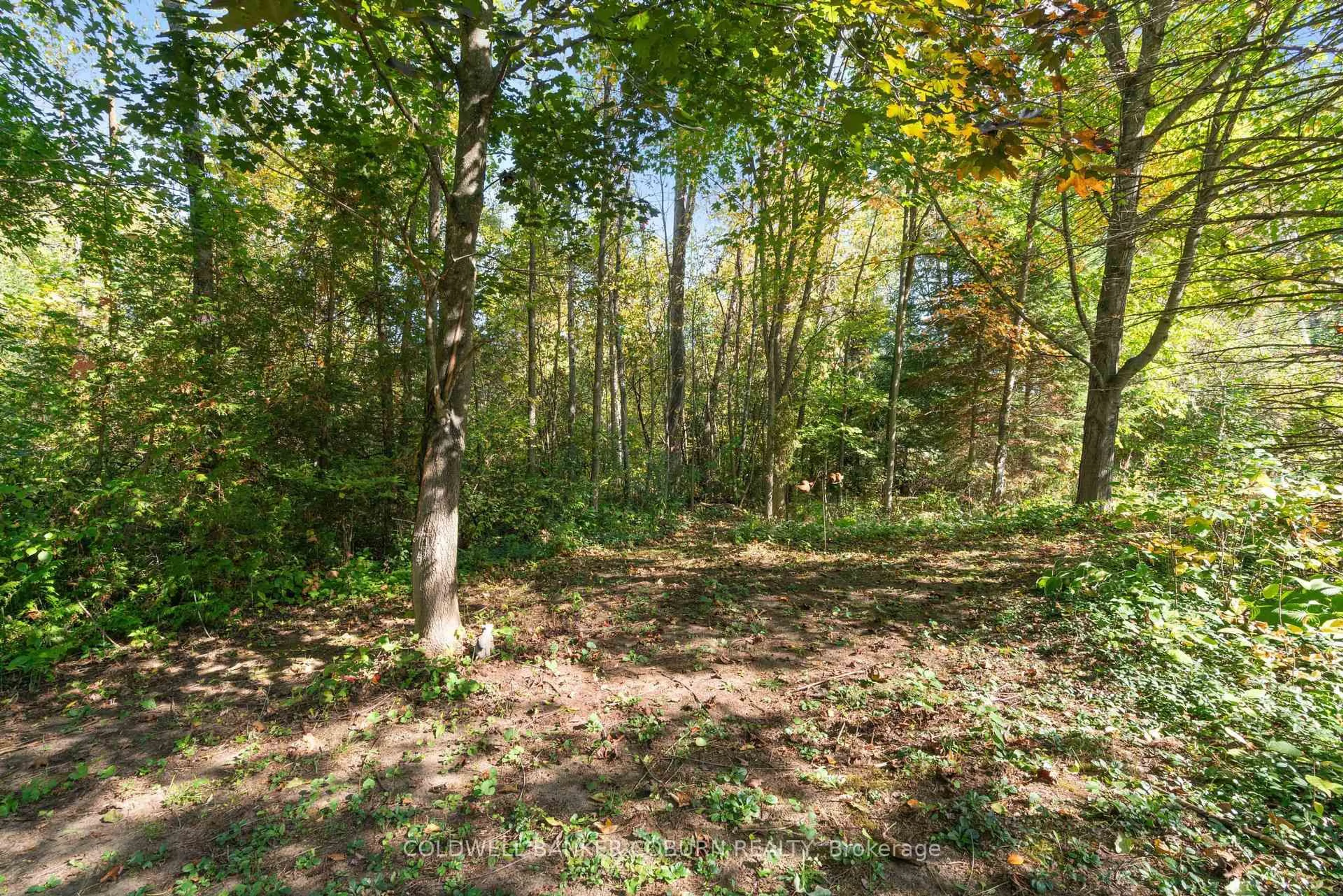 A pic from outside/outdoor area/front of a property/back of a property/a pic from drone, forest/trees view for 2 Sugar Maple Way, North Grenville Ontario K0G 1J0