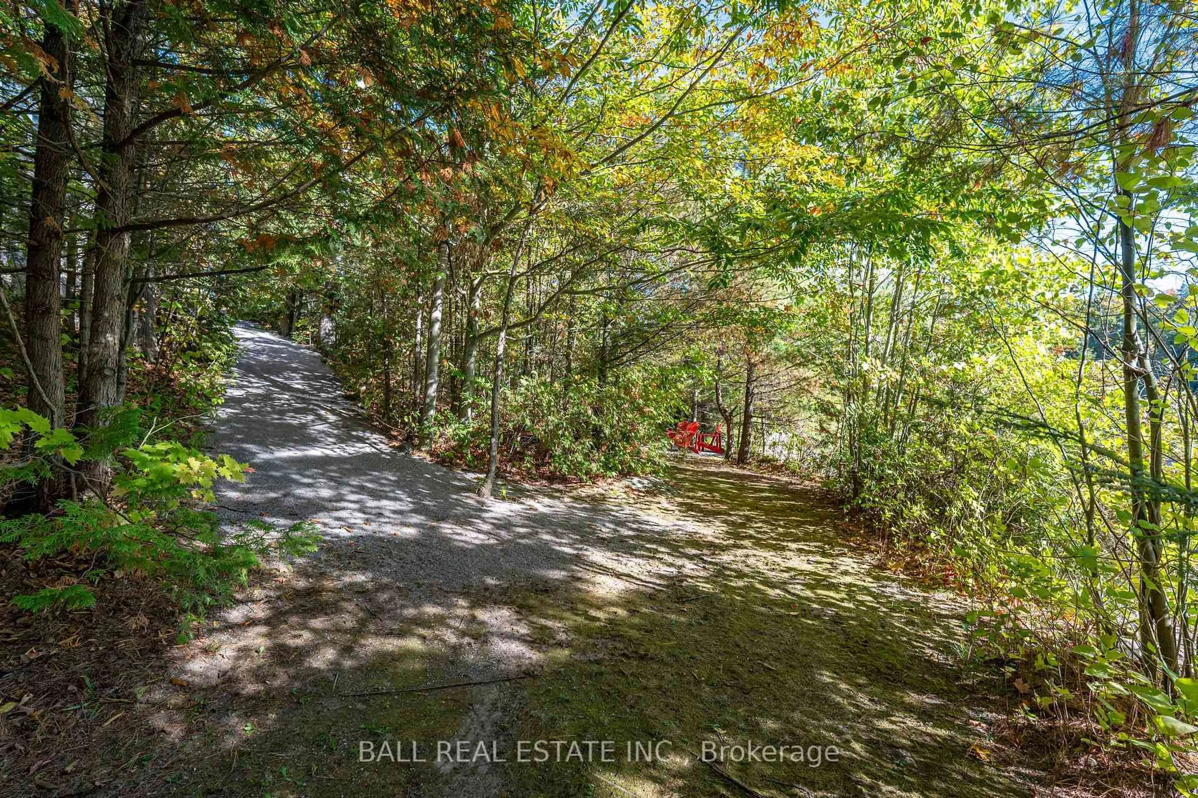 A pic from outside/outdoor area/front of a property/back of a property/a pic from drone, forest/trees view for 55 Fire Route 209, Trent Lakes Ontario K0L 1J0