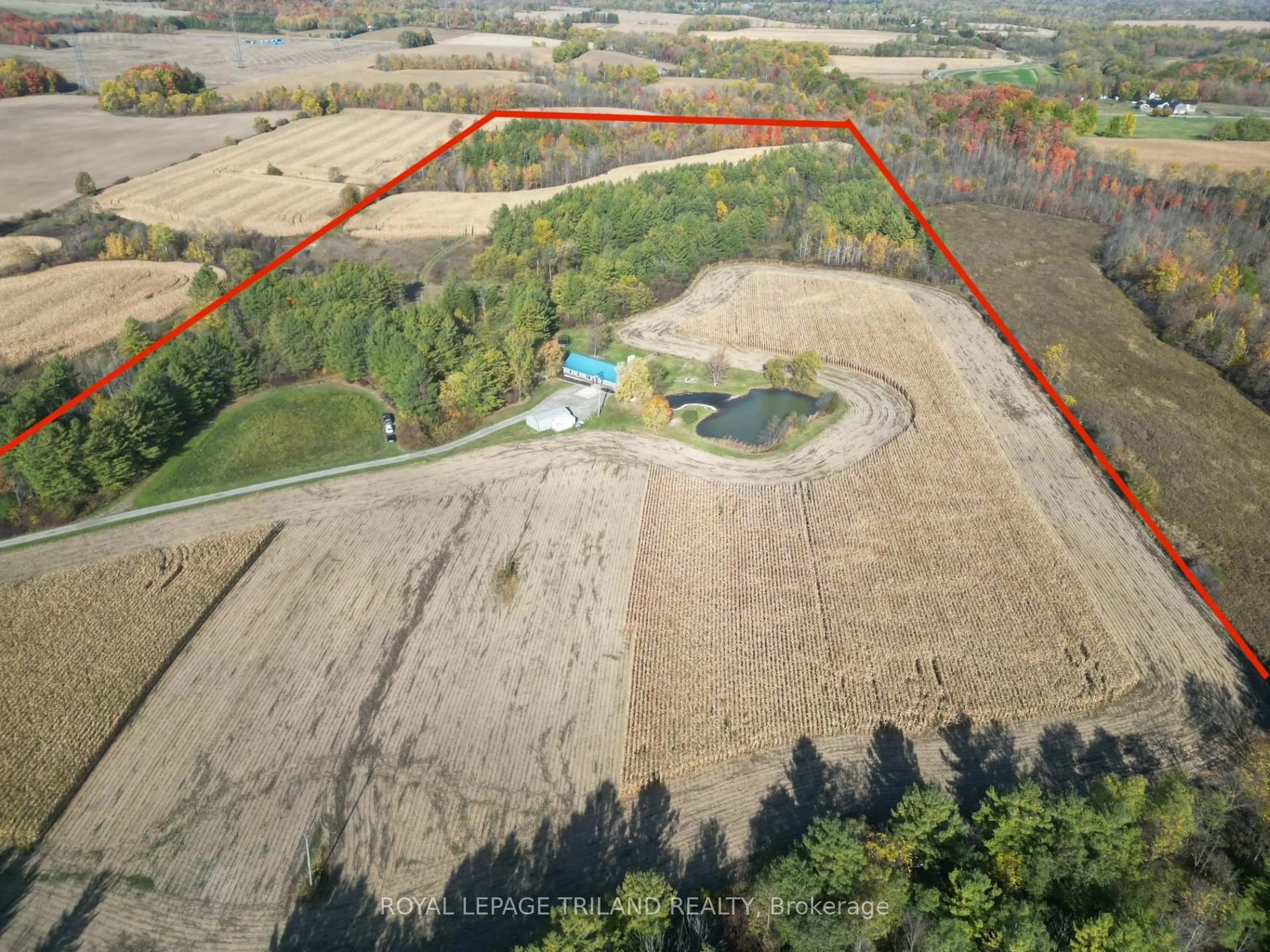 A pic from outside/outdoor area/front of a property/back of a property/a pic from drone, forest/trees view for 32896 Chalmers Line, Dutton/Dunwich Ontario N0L 1P0