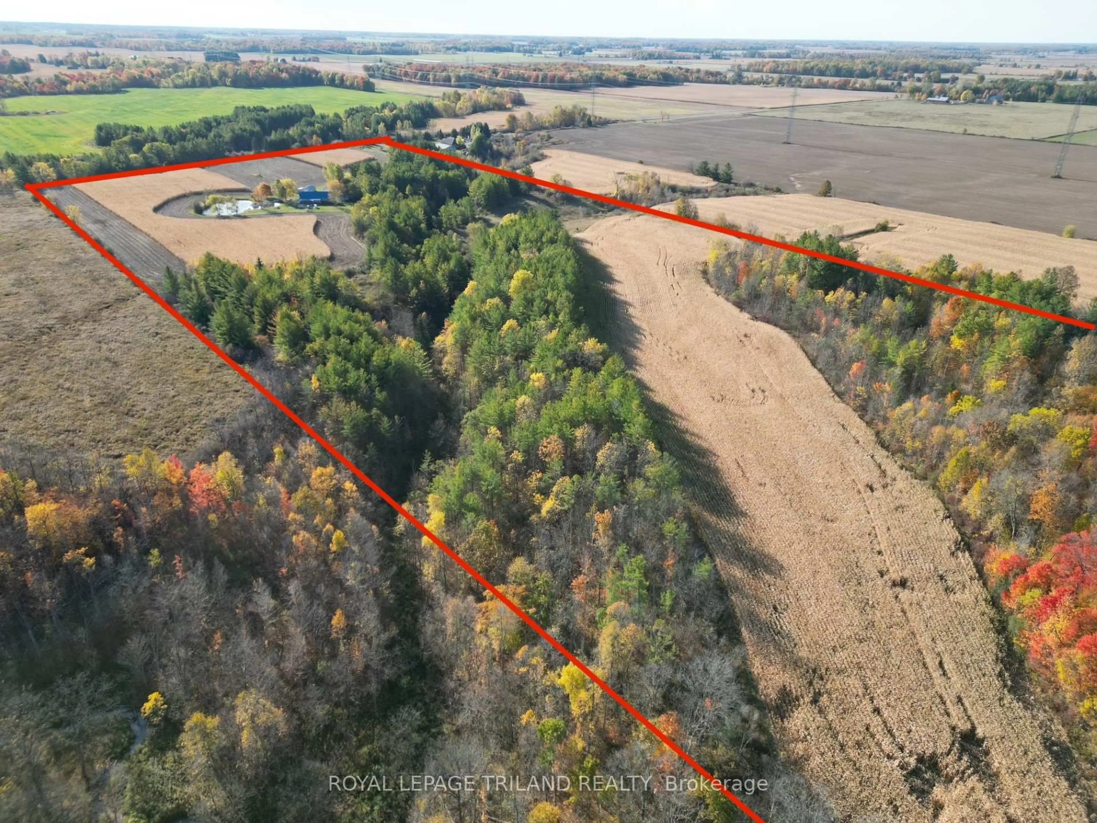 A pic from outside/outdoor area/front of a property/back of a property/a pic from drone, forest/trees view for 32896 Chalmers Line, Dutton/Dunwich Ontario N0L 1P0