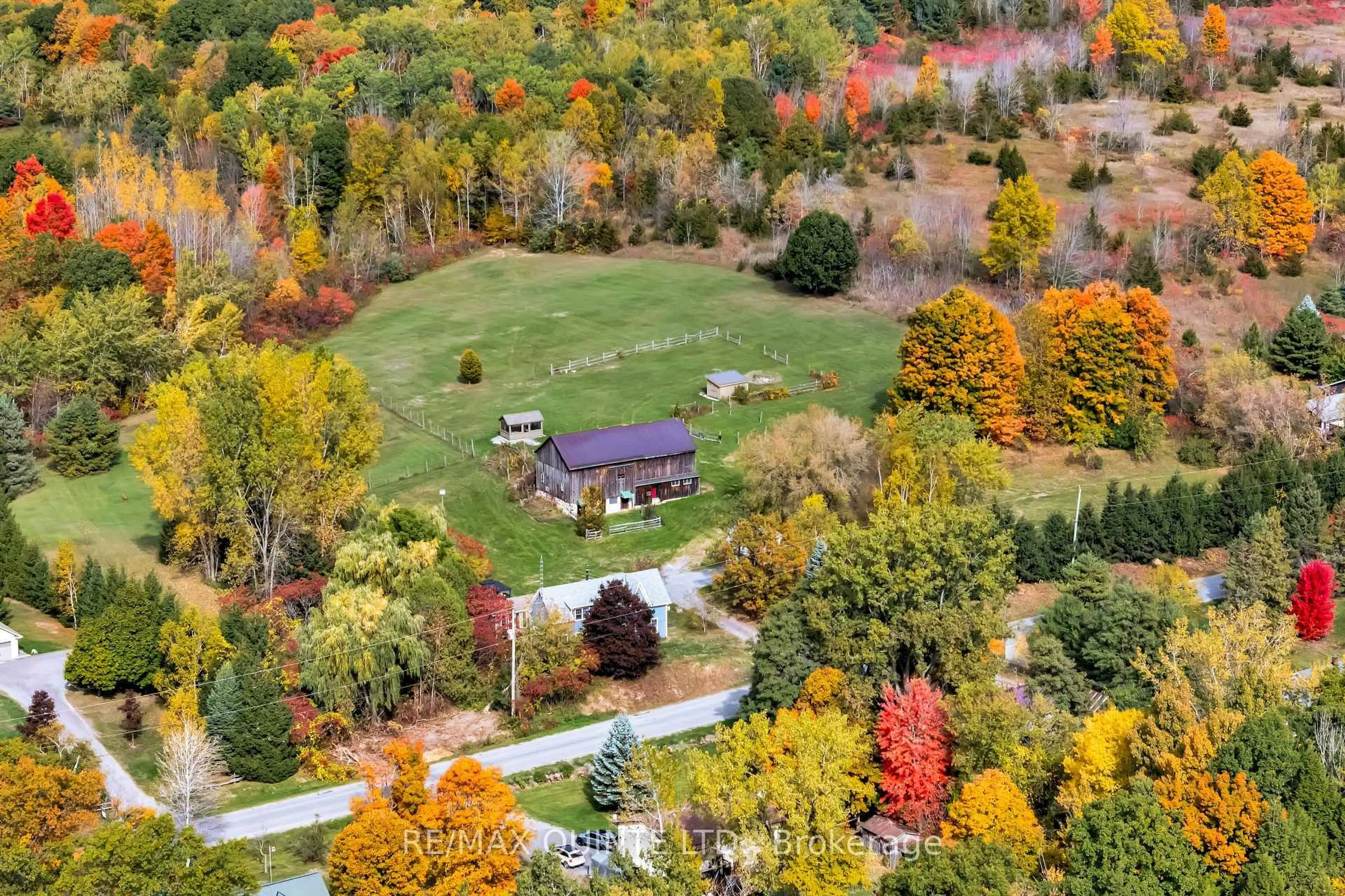 A pic from outside/outdoor area/front of a property/back of a property/a pic from drone, forest/trees view for 16882 Telephone Rd, Ingleside Ontario K8V 5P4