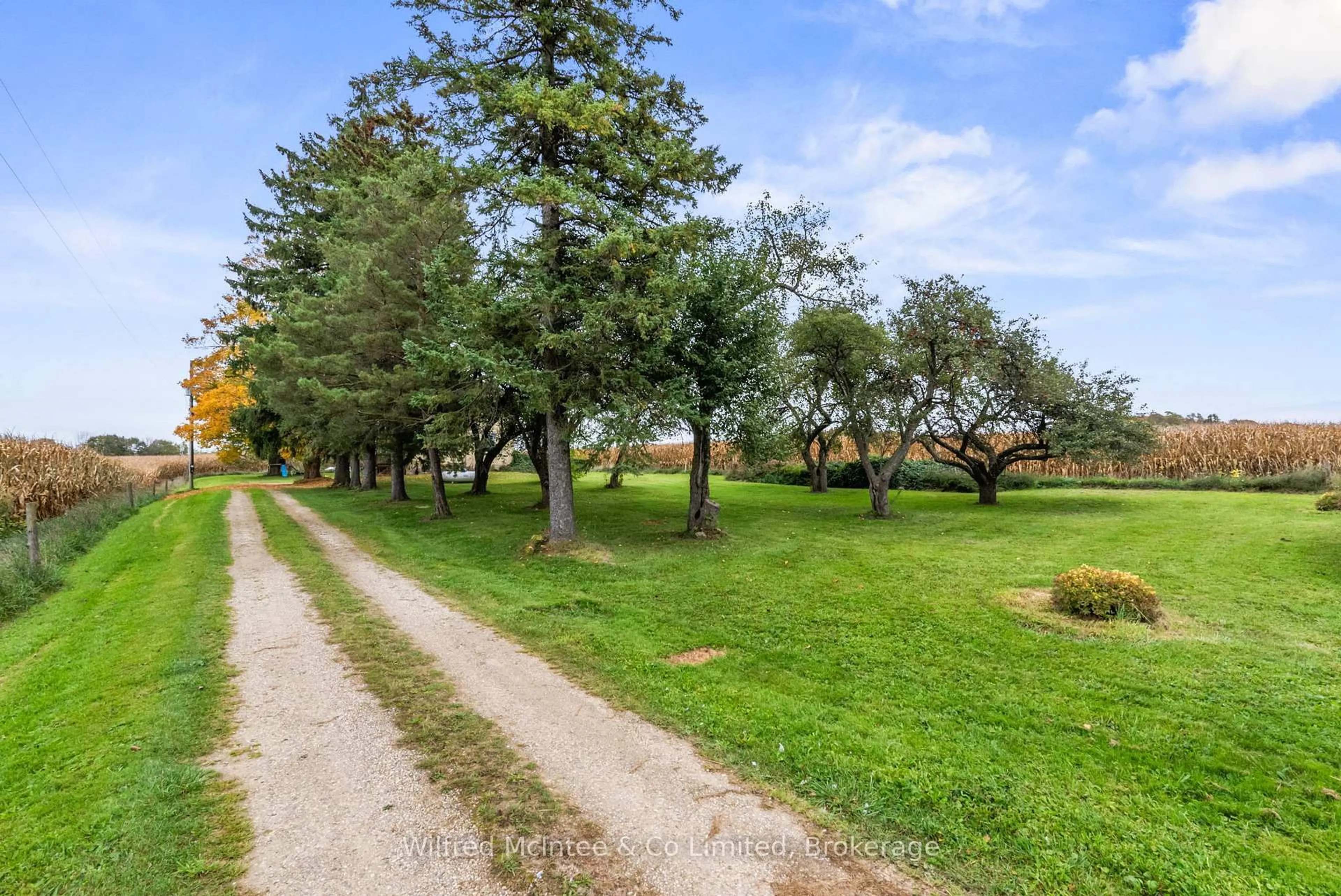Patio, forest/trees view for 570 20 Sdrd, Brockton Ontario N0G 2V0