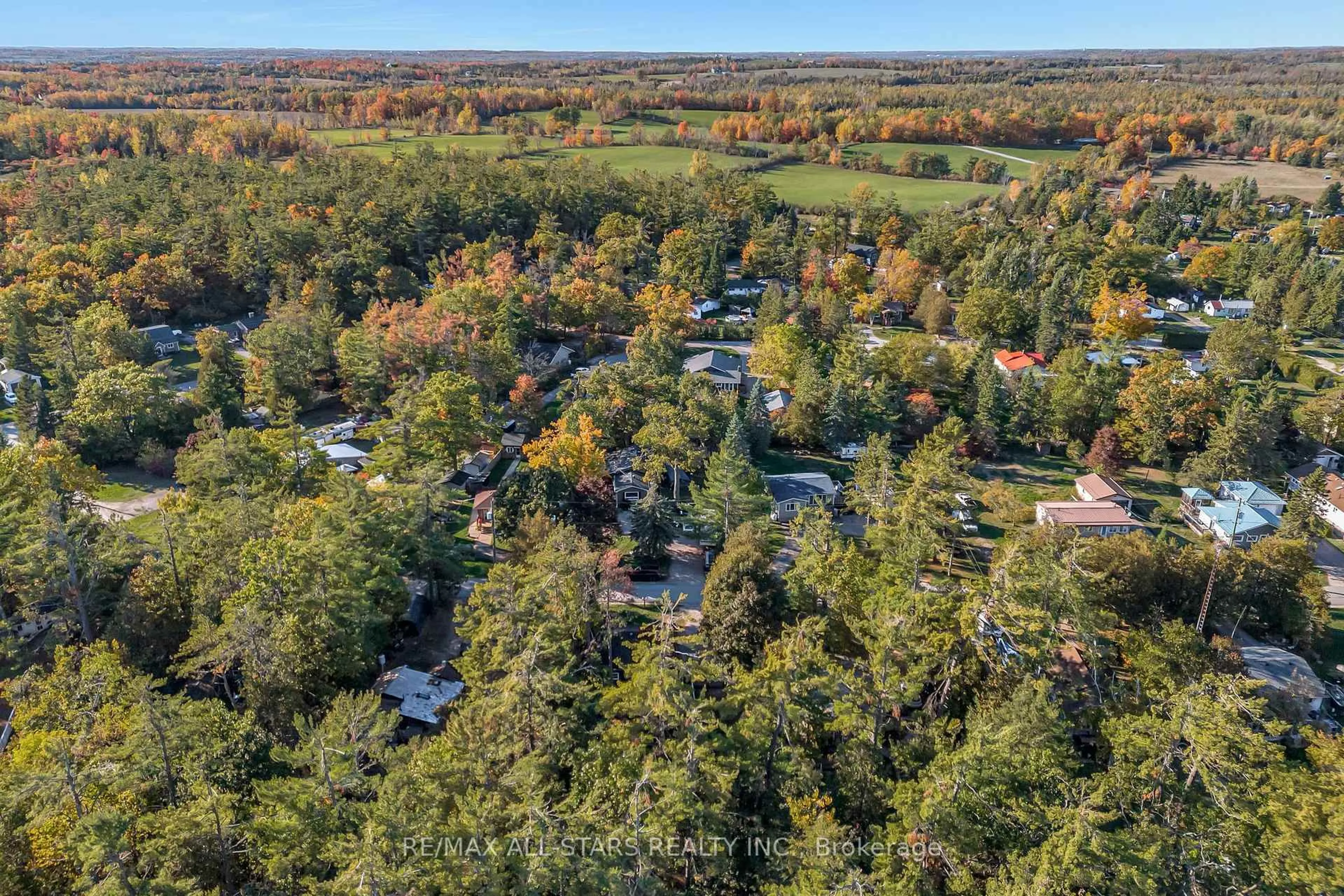 A pic from outside/outdoor area/front of a property/back of a property/a pic from drone, forest/trees view for 16 Parkhill Dr, Kawartha Lakes Ontario K0M 1N0