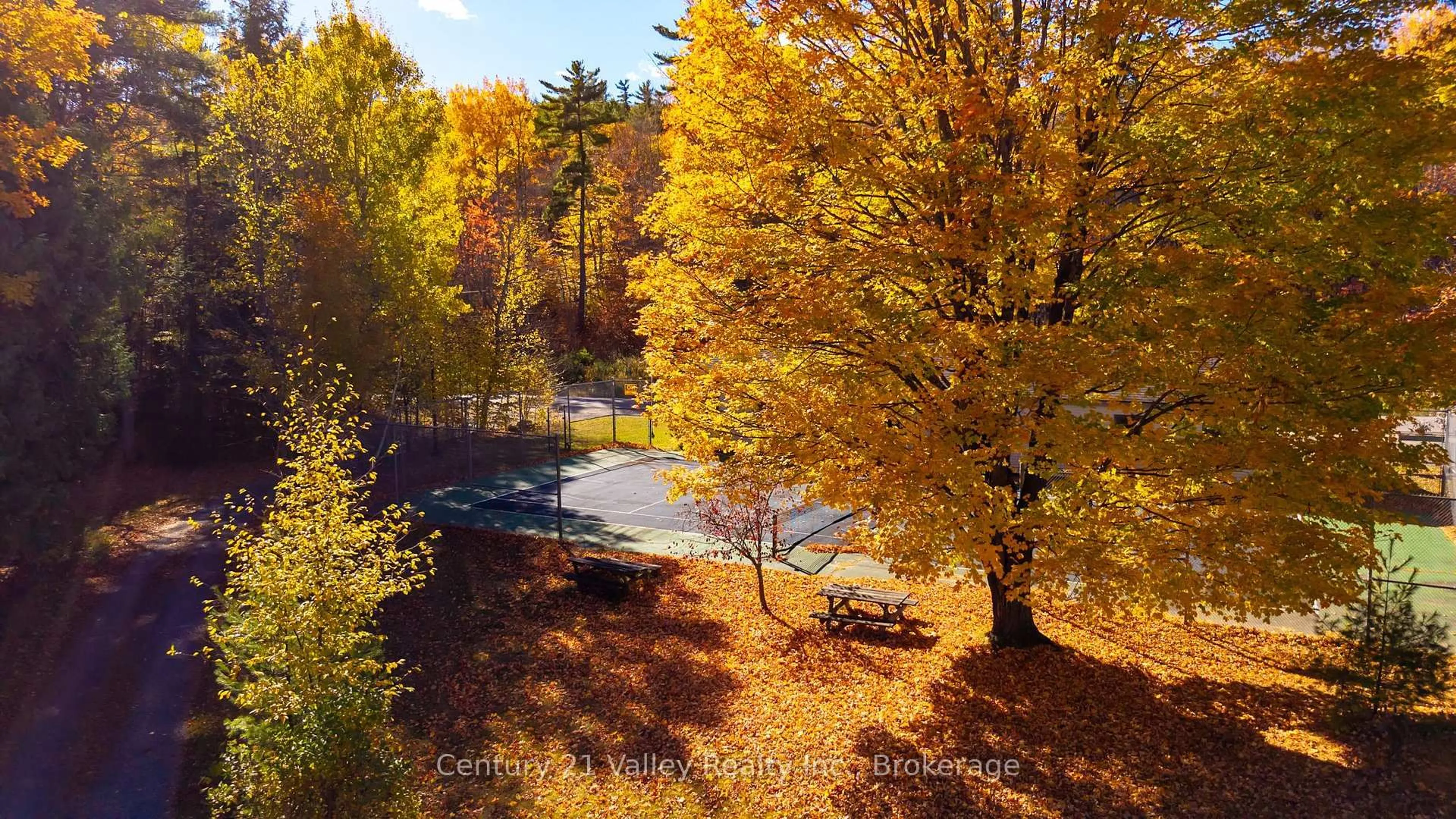 A pic from outside/outdoor area/front of a property/back of a property/a pic from drone, forest/trees view for 18 Colony Lane, Calabogie Ontario K0J 1H0