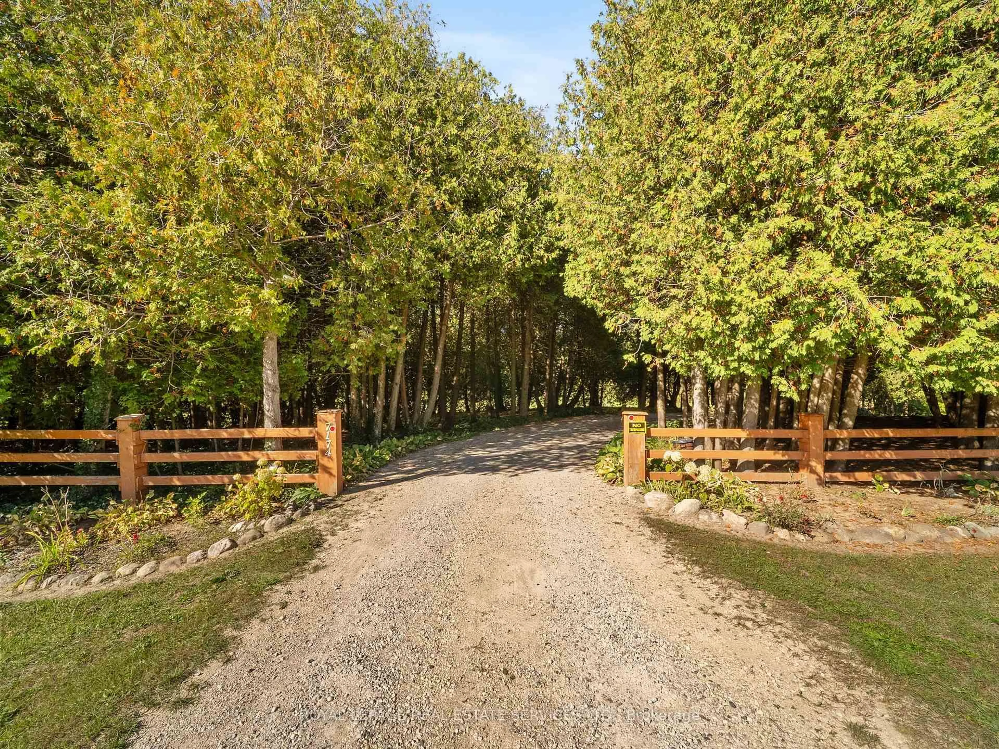 A pic from outside/outdoor area/front of a property/back of a property/a pic from drone, forest/trees view for 7174 Highway 89, Wellington North Ontario N0G 2L0