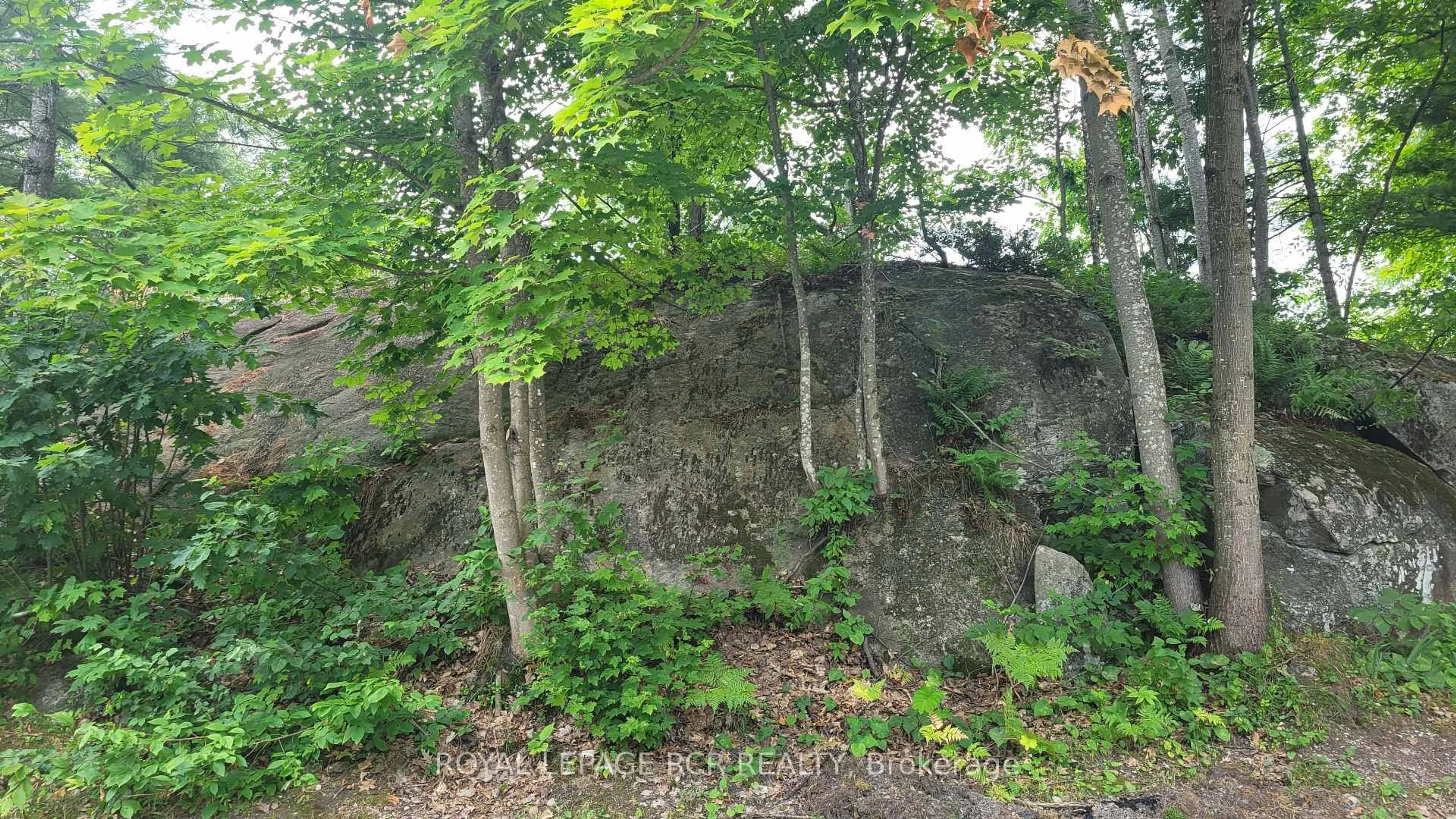 Unknown for 1007 Racoon Rd #31, Gravenhurst Ontario P1P 1R1