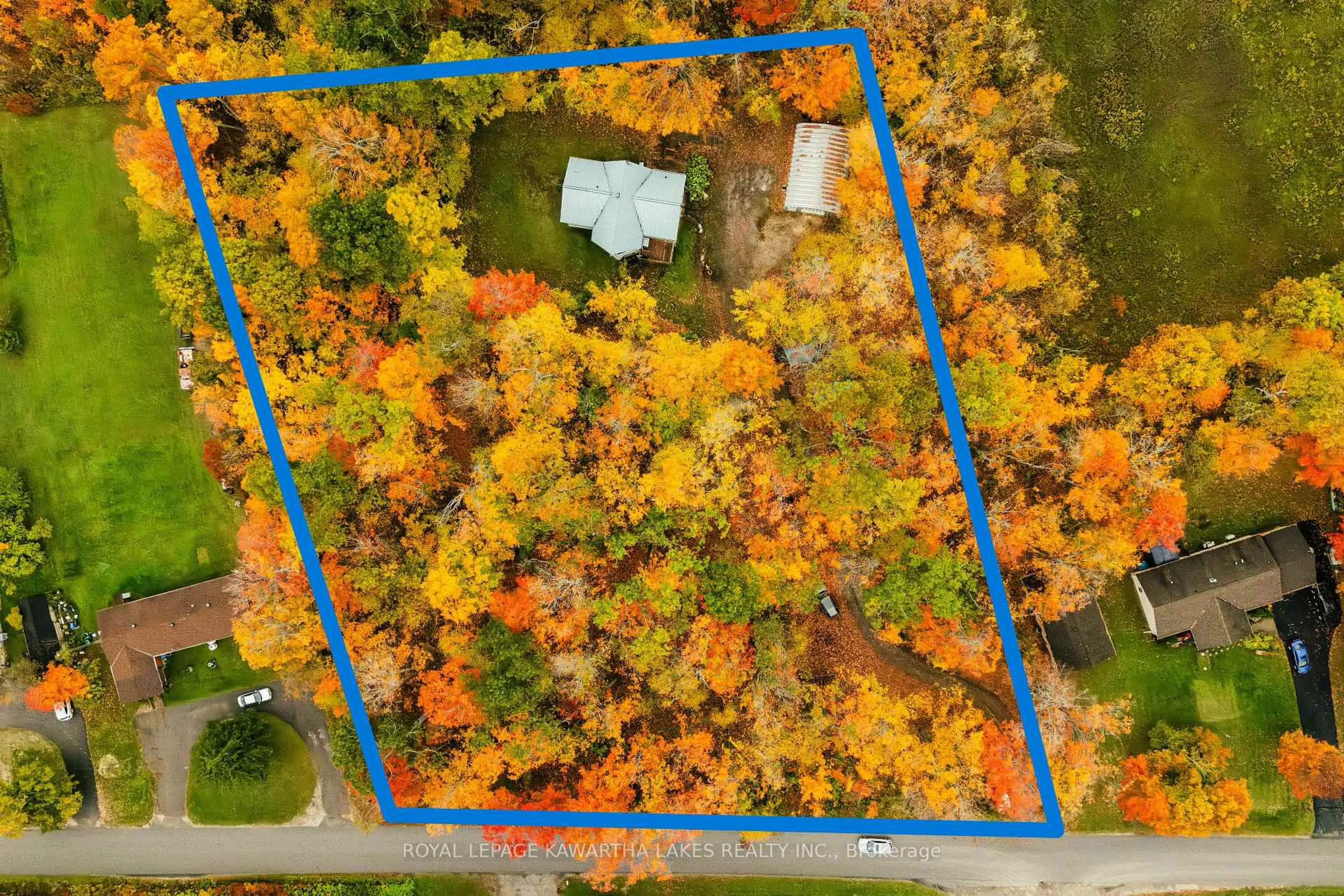 A pic from outside/outdoor area/front of a property/back of a property/a pic from drone, forest/trees view for 693 Balsam Lake Dr, Kawartha Lakes Ontario K0M 2B0