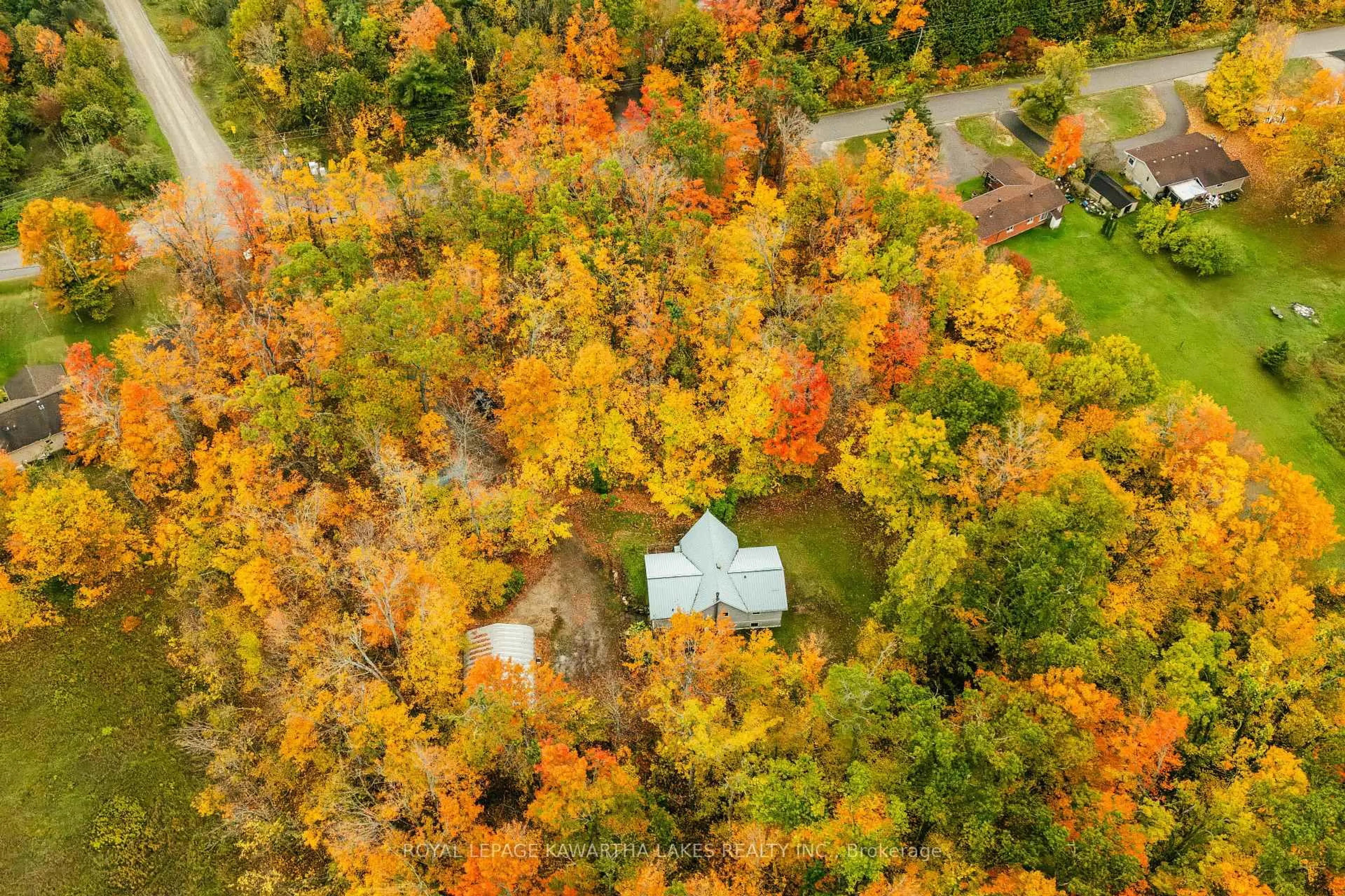 A pic from outside/outdoor area/front of a property/back of a property/a pic from drone, forest/trees view for 693 Balsam Lake Dr, Kawartha Lakes Ontario K0M 2B0