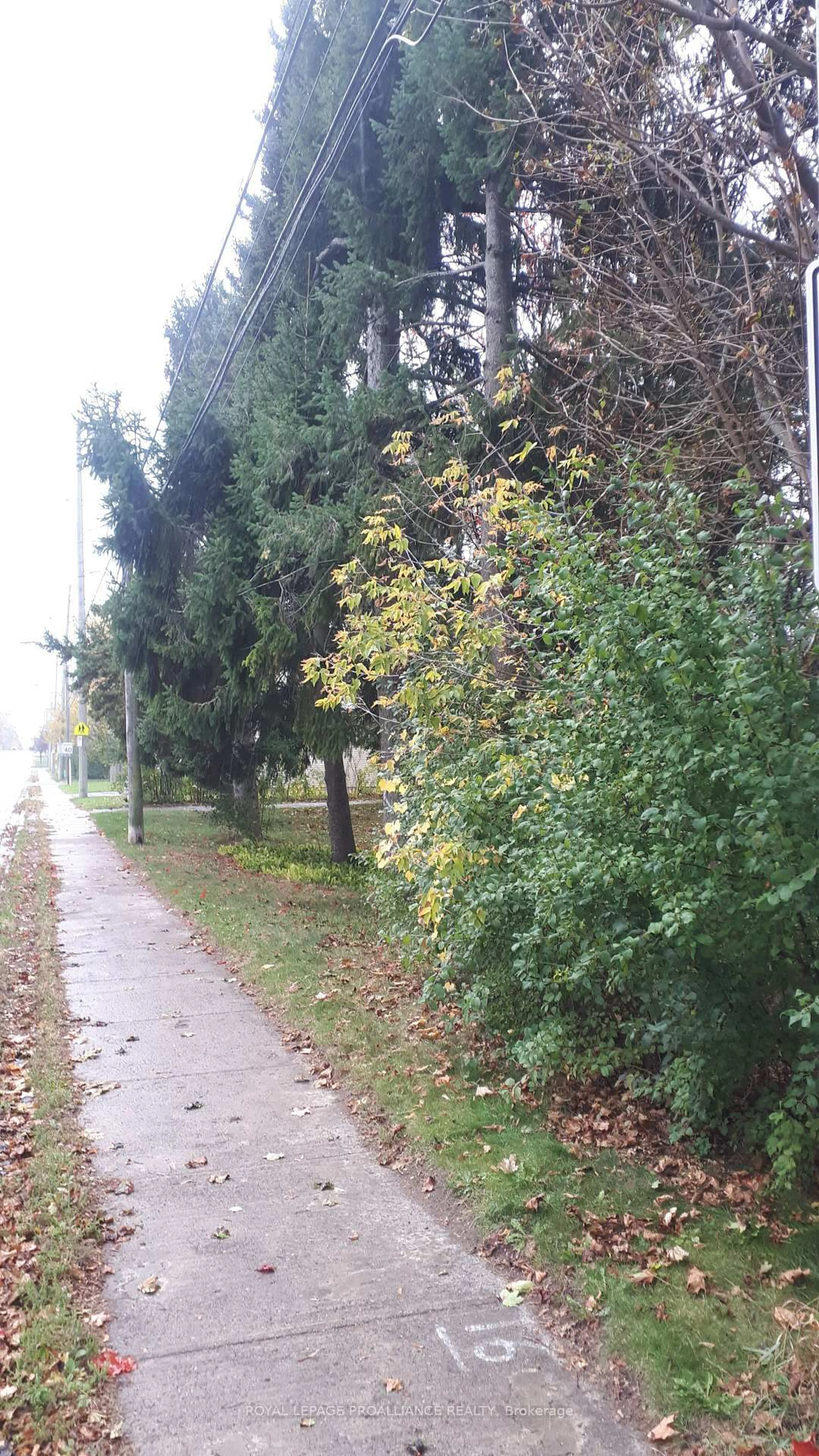 Blurry image for 198 Victoria St, Port Hope Ontario L1A 3N3