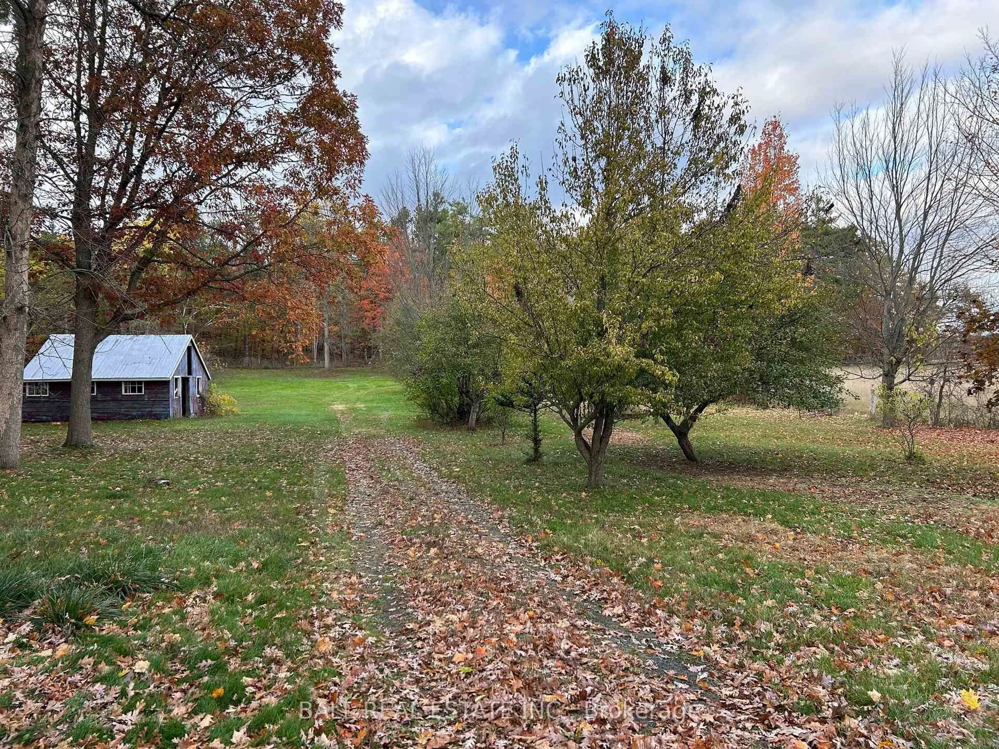 A pic from outside/outdoor area/front of a property/back of a property/a pic from drone, forest/trees view for 74 County Rd 48, Havelock-Belmont-Methuen Ontario K0L 1Z0