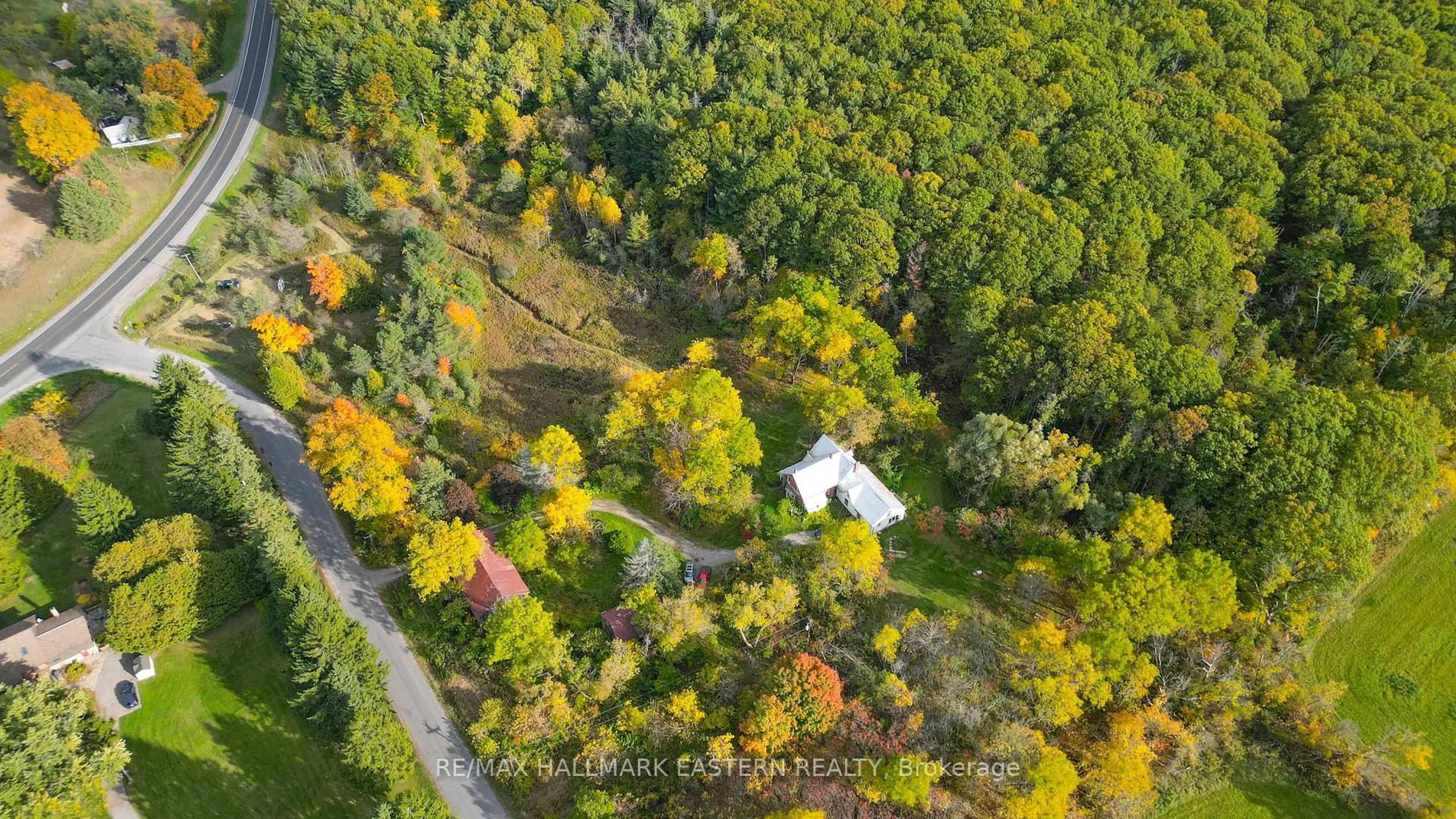 A pic from outside/outdoor area/front of a property/back of a property/a pic from drone, forest/trees view for 3995 Challice Line, Port Hope Ontario L0A 1G0