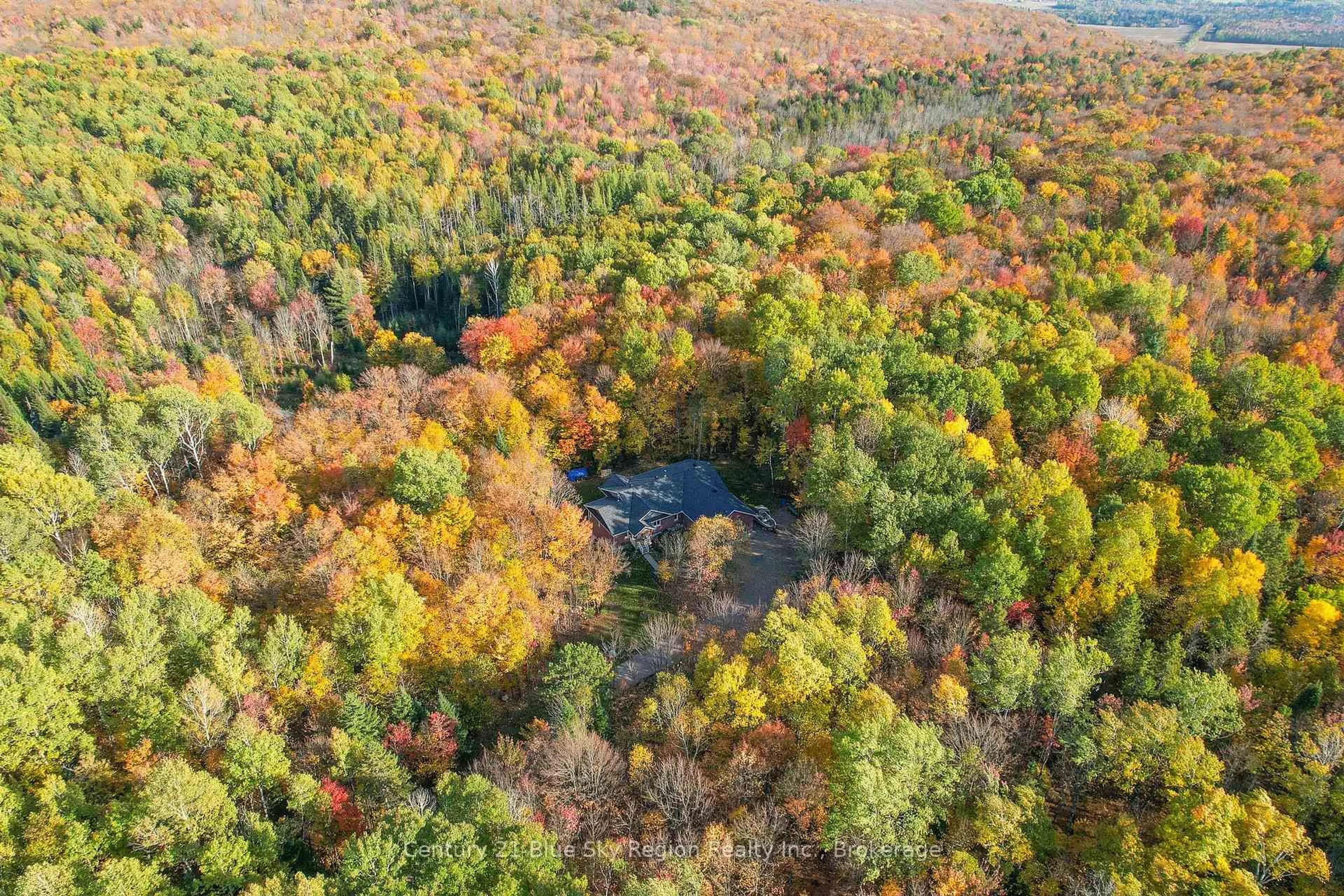 A pic from outside/outdoor area/front of a property/back of a property/a pic from drone, forest/trees view for 503 Ski Hill Rd, Powassan Ontario P0H 1Z0