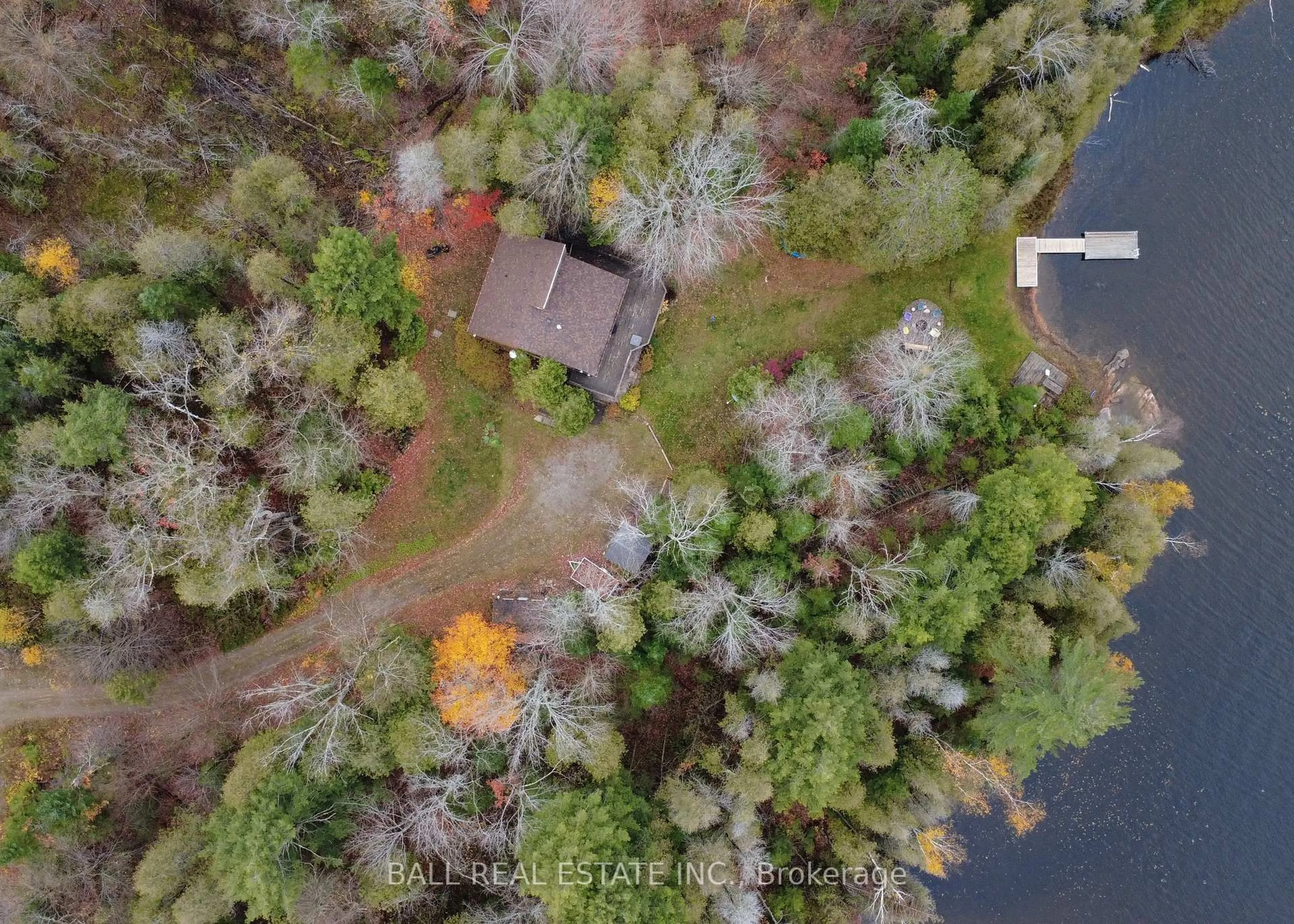 A pic from outside/outdoor area/front of a property/back of a property/a pic from drone, forest/trees view for 344 Cedarwood Dr, Trent Lakes Ontario K0L 1J0