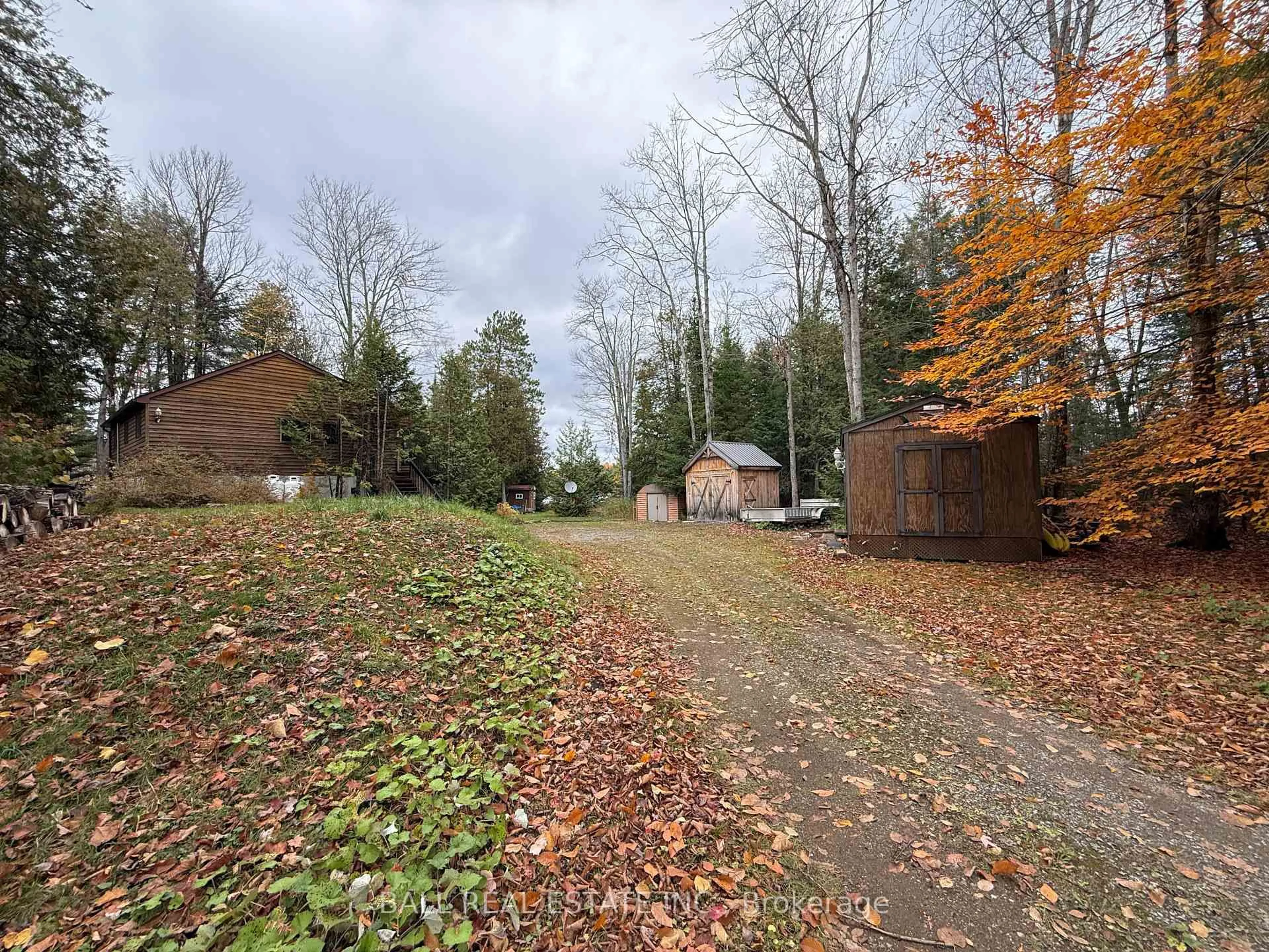A pic from outside/outdoor area/front of a property/back of a property/a pic from drone, forest/trees view for 344 Cedarwood Dr, Trent Lakes Ontario K0L 1J0