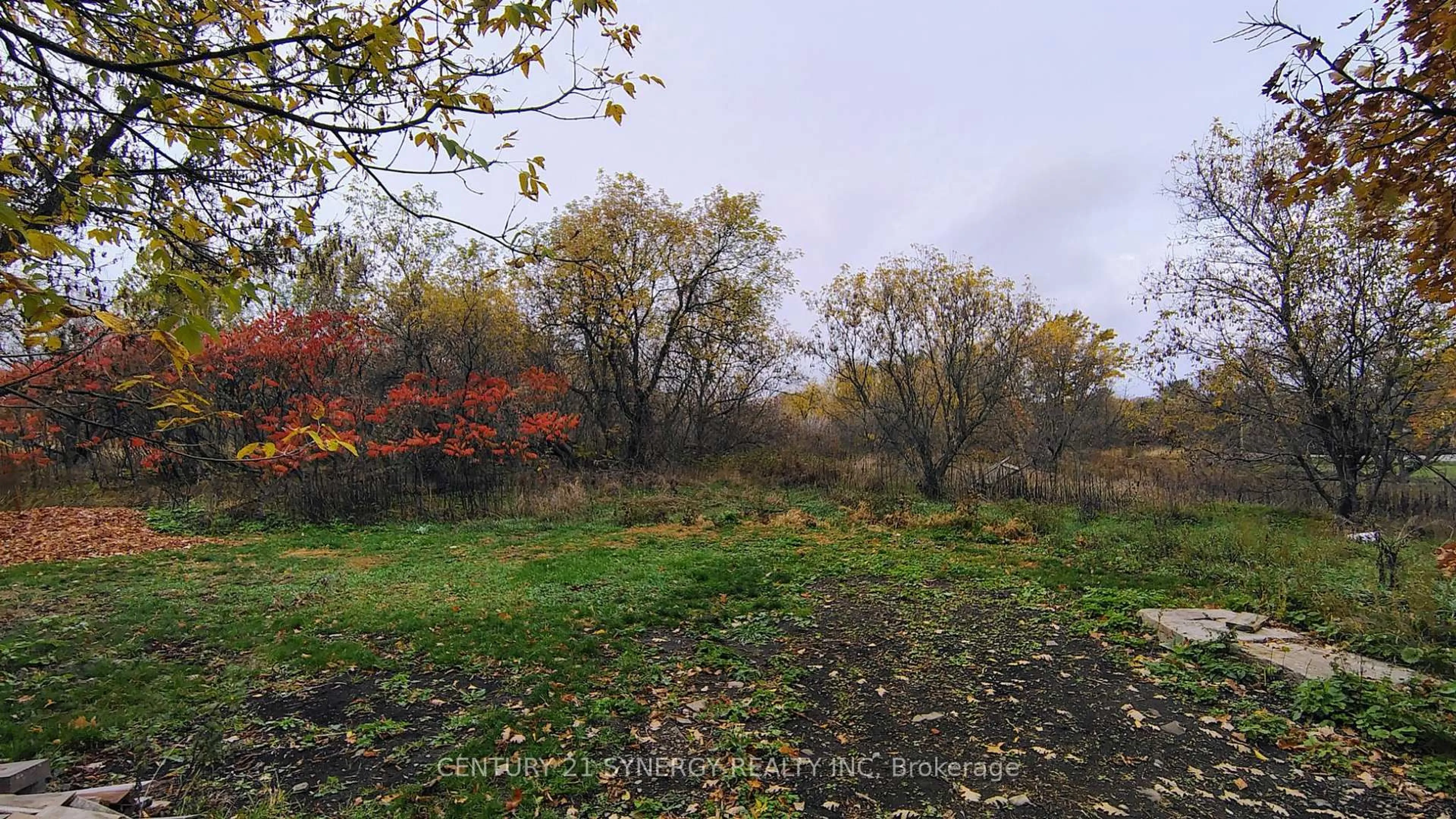 Blurry image for 2772 8th Line Rd, Metcalfe Ontario K0A 2P0