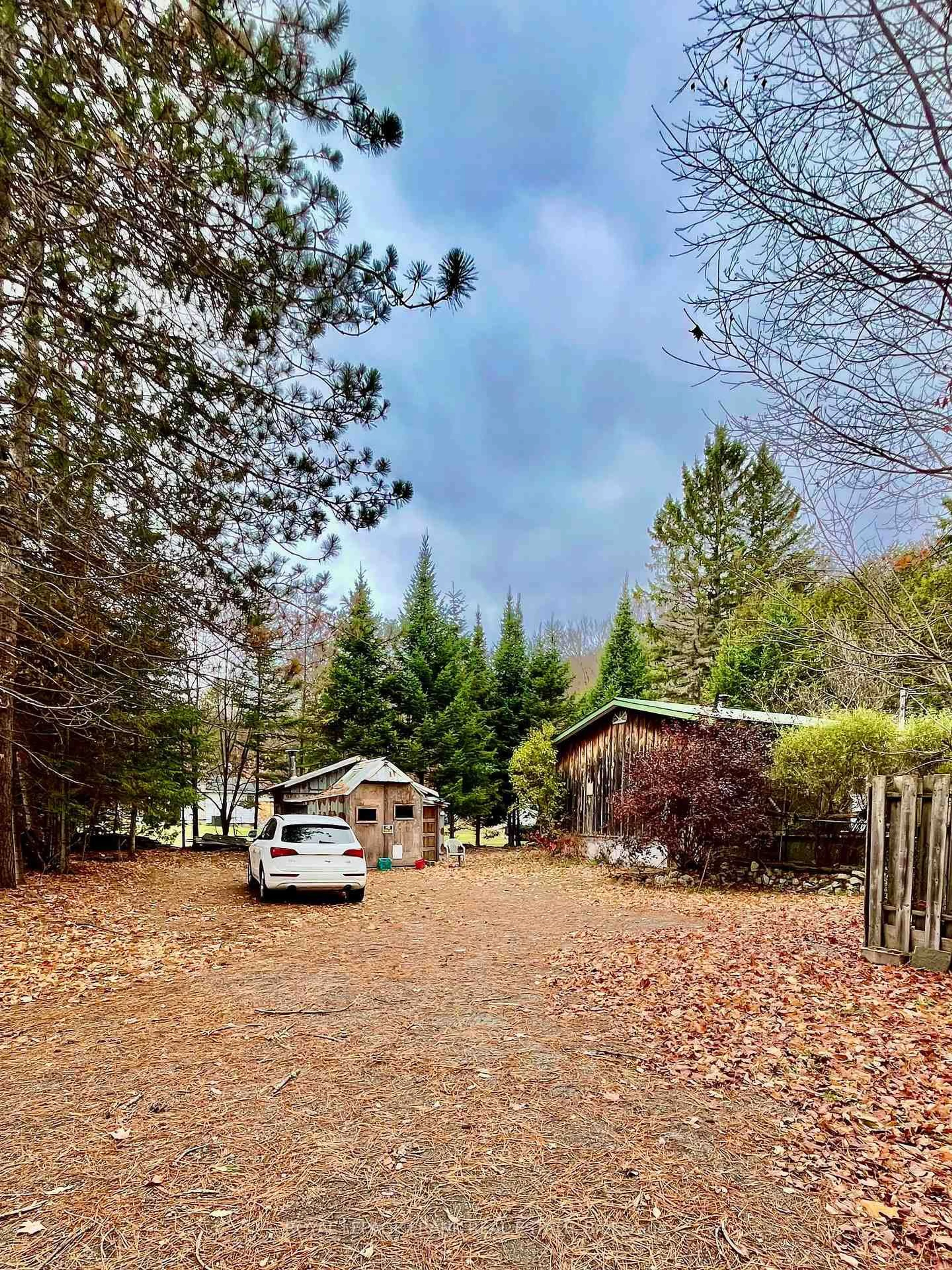A pic from outside/outdoor area/front of a property/back of a property/a pic from drone, forest/trees view for 4 Jackson Rd, Bancroft Ontario K0L 1C0