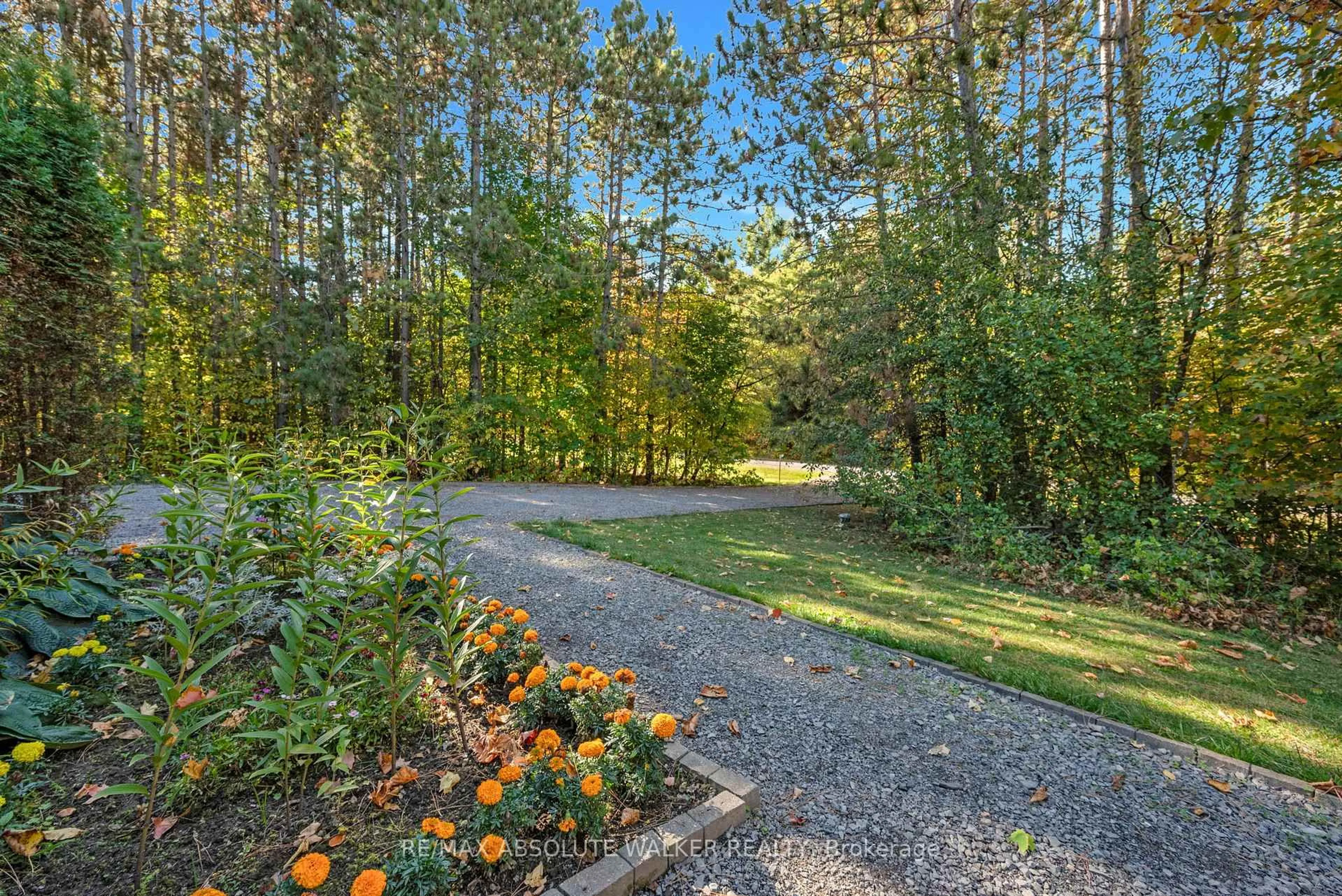 Patio, forest/trees view for 117 Plantation Dr, Ottawa Ontario K0A 3M0