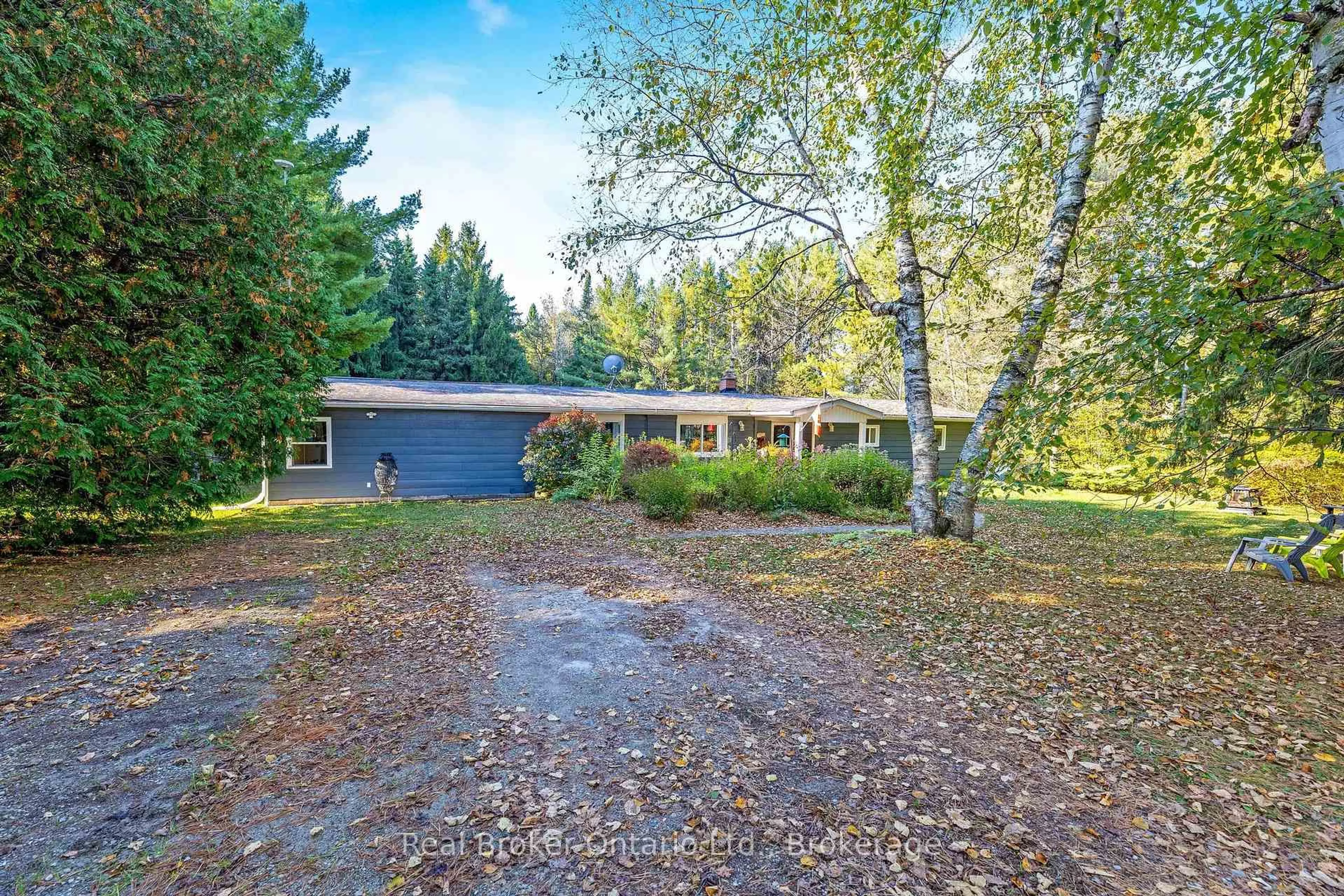 A pic from outside/outdoor area/front of a property/back of a property/a pic from drone, forest/trees view for 111016 11th Line, East Garafraxa Ontario L9W 7A4