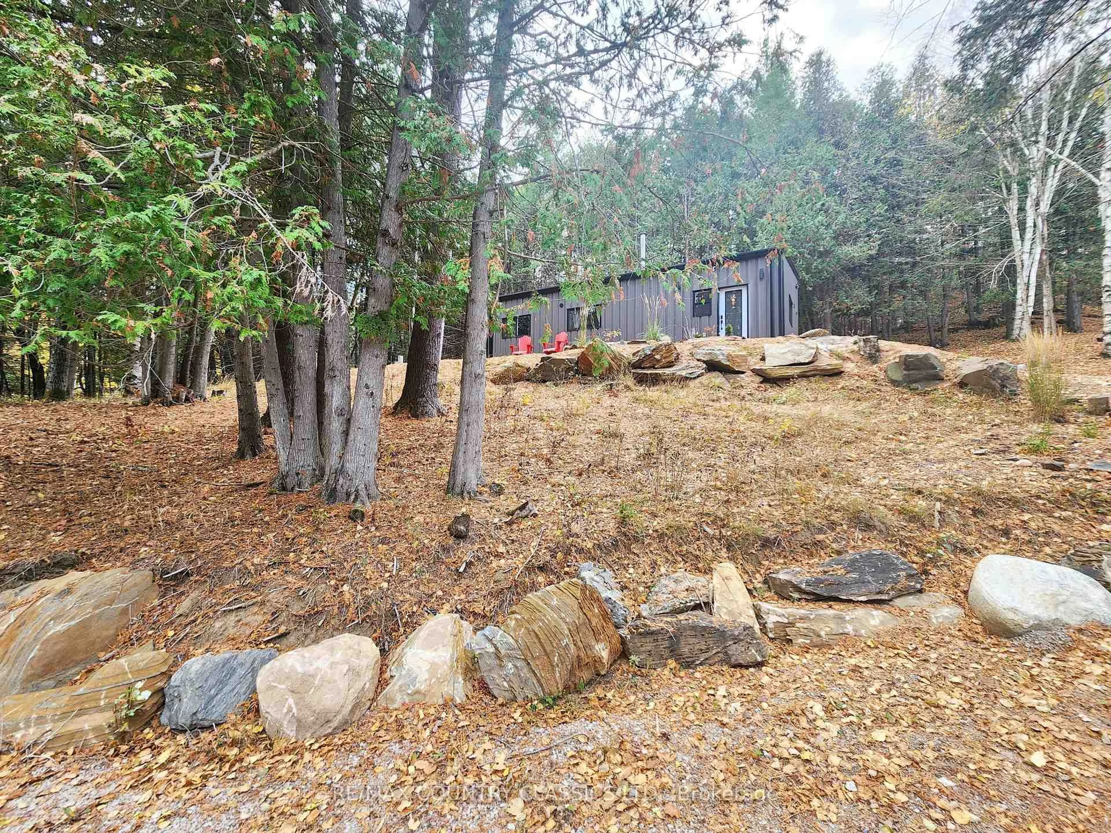 Shed for 338 Detlor Rd, Maynooth Ontario K0L 2S0