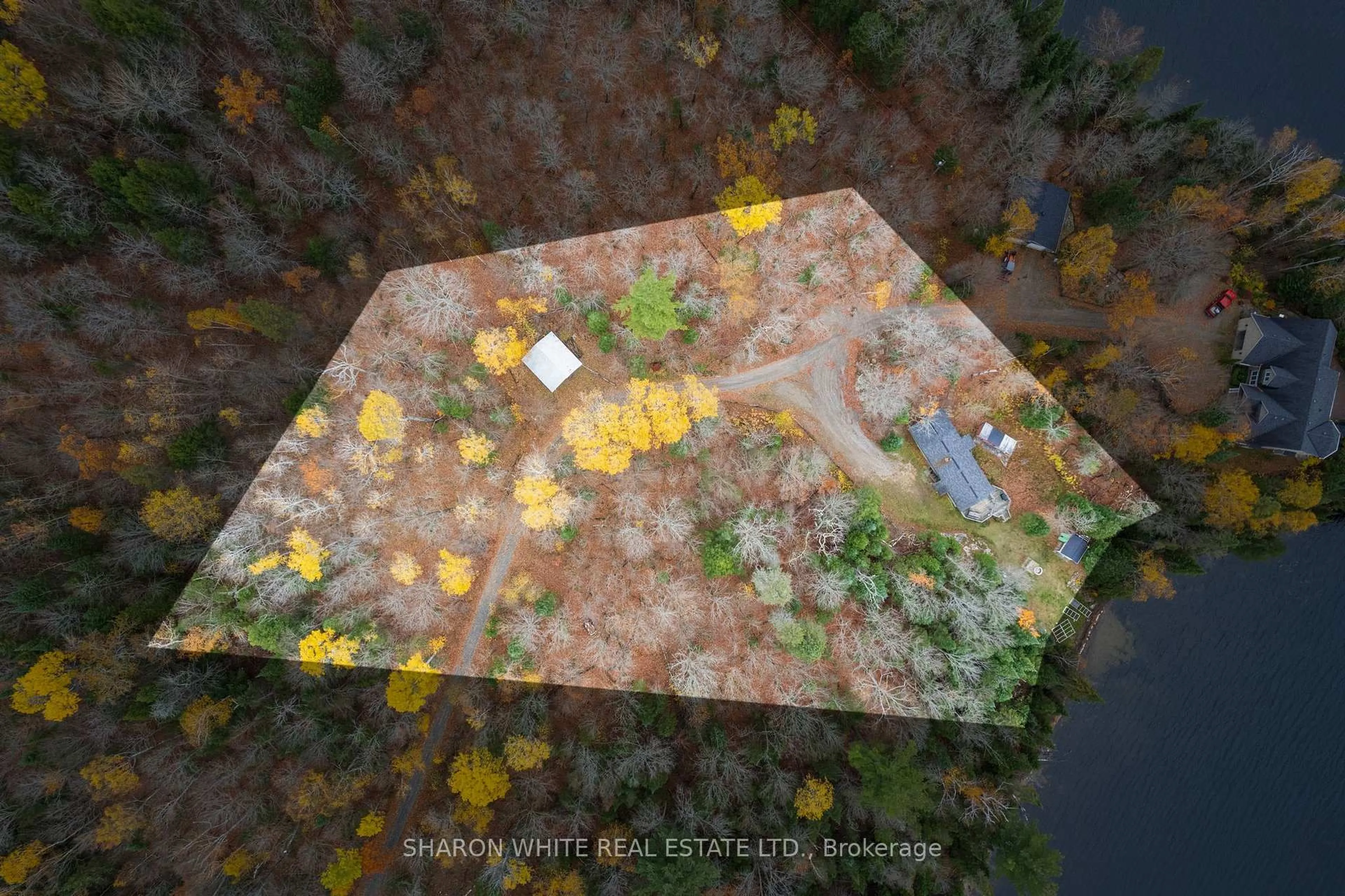 A pic from outside/outdoor area/front of a property/back of a property/a pic from drone, forest/trees view for 464A Mooney Rd, Bancroft Ontario K0L 1C0