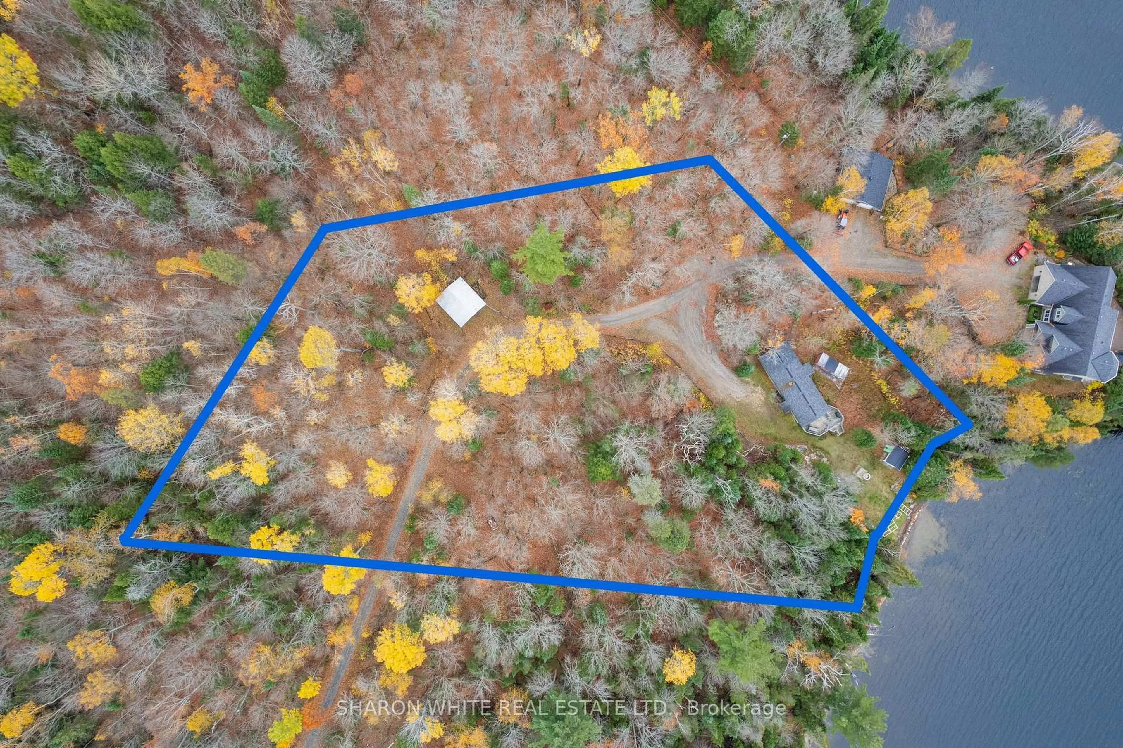A pic from outside/outdoor area/front of a property/back of a property/a pic from drone, forest/trees view for 464A Mooney Rd, Bancroft Ontario K0L 1C0