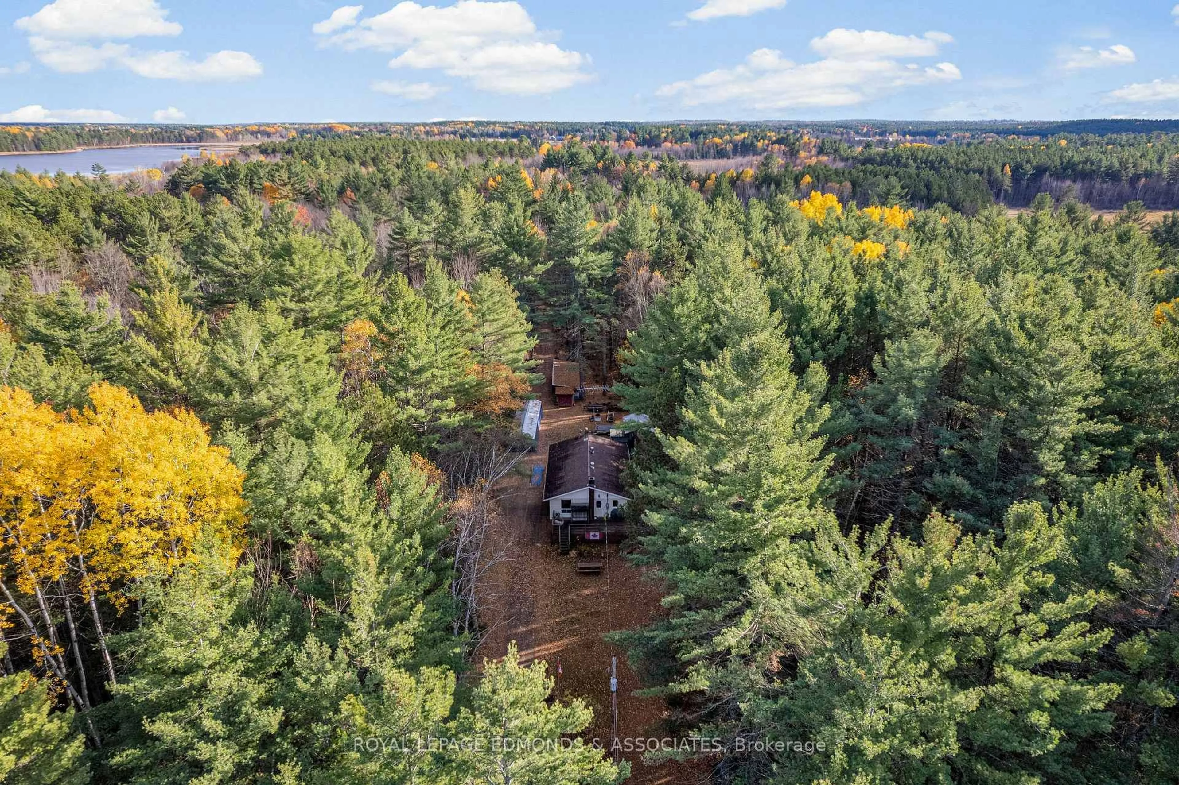 A pic from outside/outdoor area/front of a property/back of a property/a pic from drone, forest/trees view for 725 Marsh Rd, Pembroke Ontario K8A 6W4