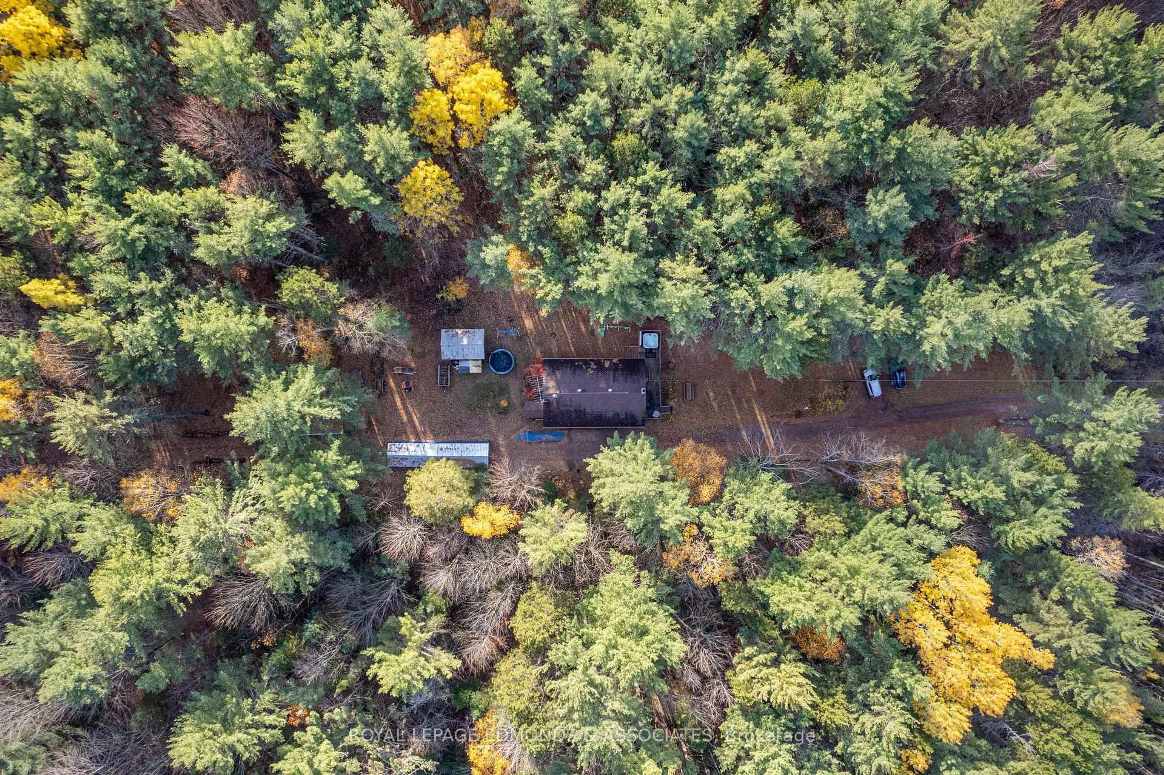 A pic from outside/outdoor area/front of a property/back of a property/a pic from drone, forest/trees view for 725 Marsh Rd, Pembroke Ontario K8A 6W4