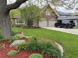 history photo preview