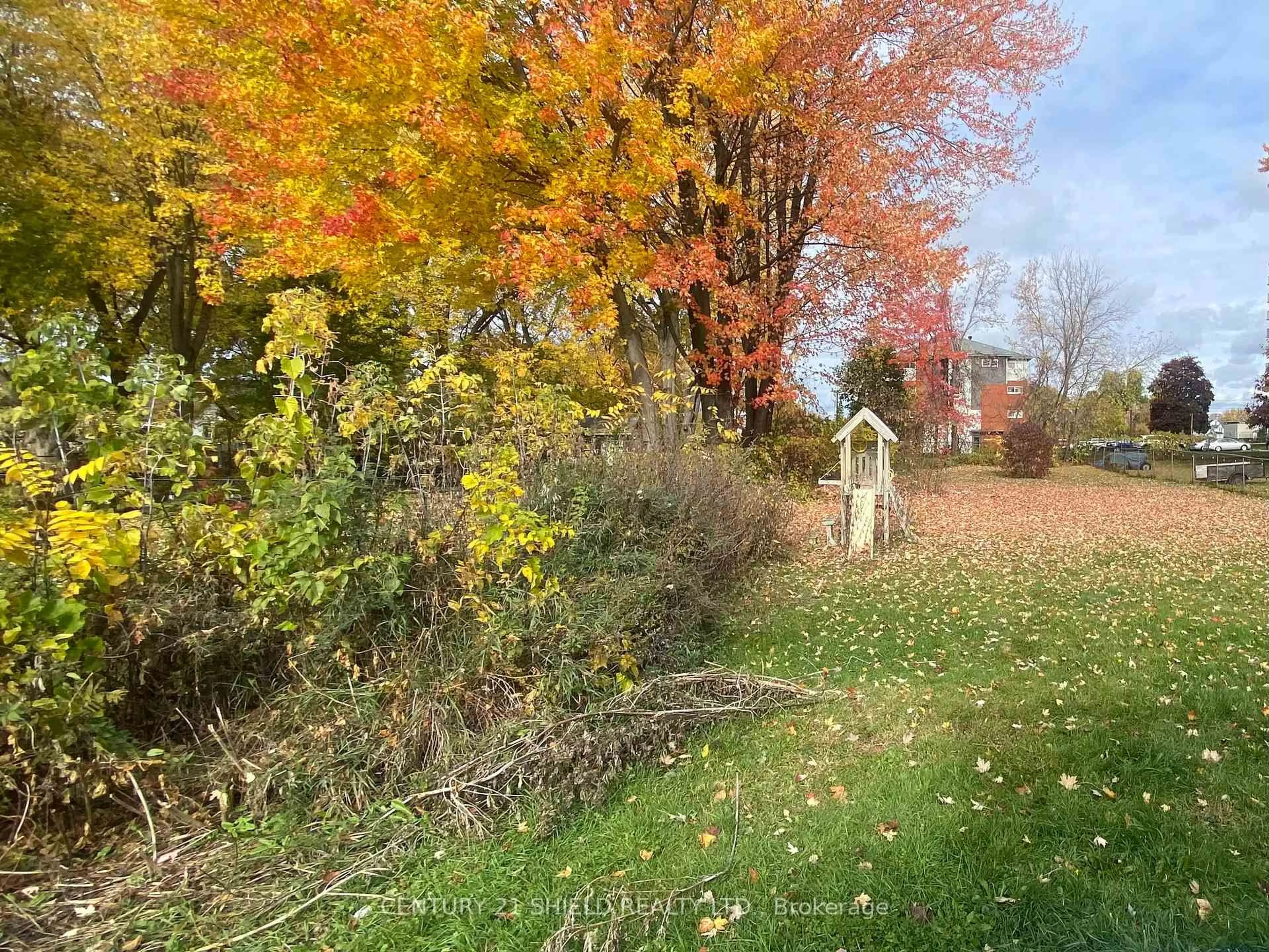 A pic from outside/outdoor area/front of a property/back of a property/a pic from drone, forest/trees view for 221 5th St, Cornwall Ontario K6H 2L7