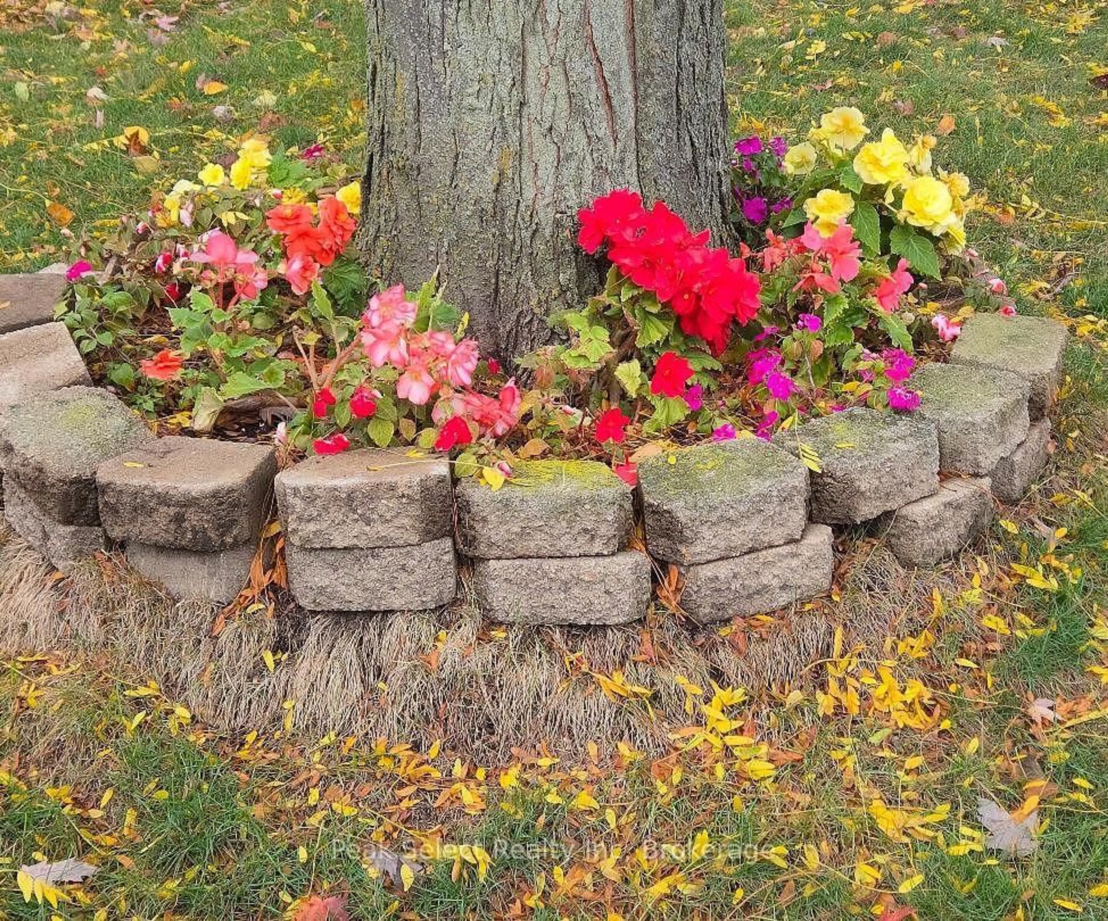 Patio, street for 220 Regal Dr, London East Ontario N5Y 4Z8