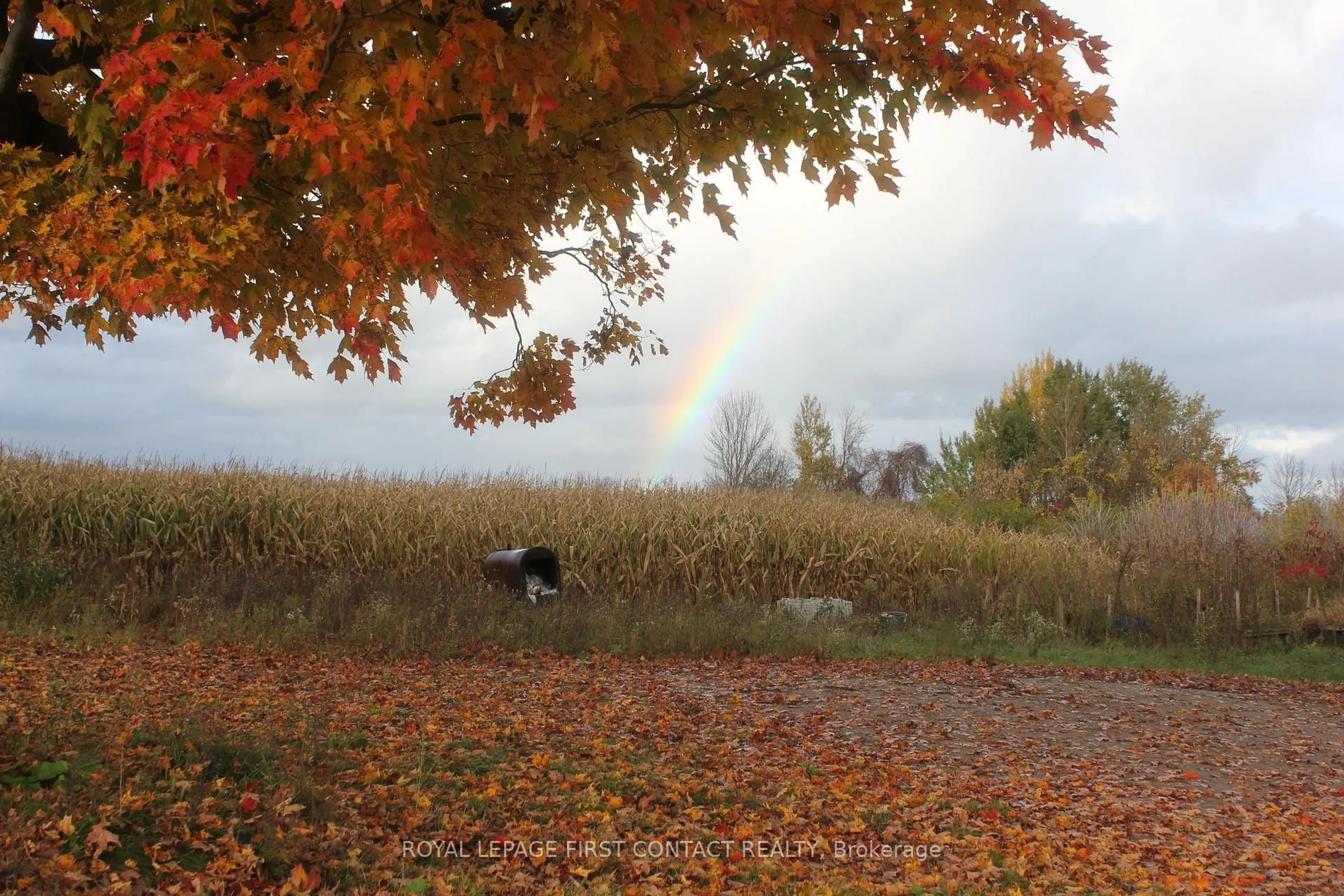 Blurry image for 280 Concession 10 Rd, Brockton Ontario N0G 1J0