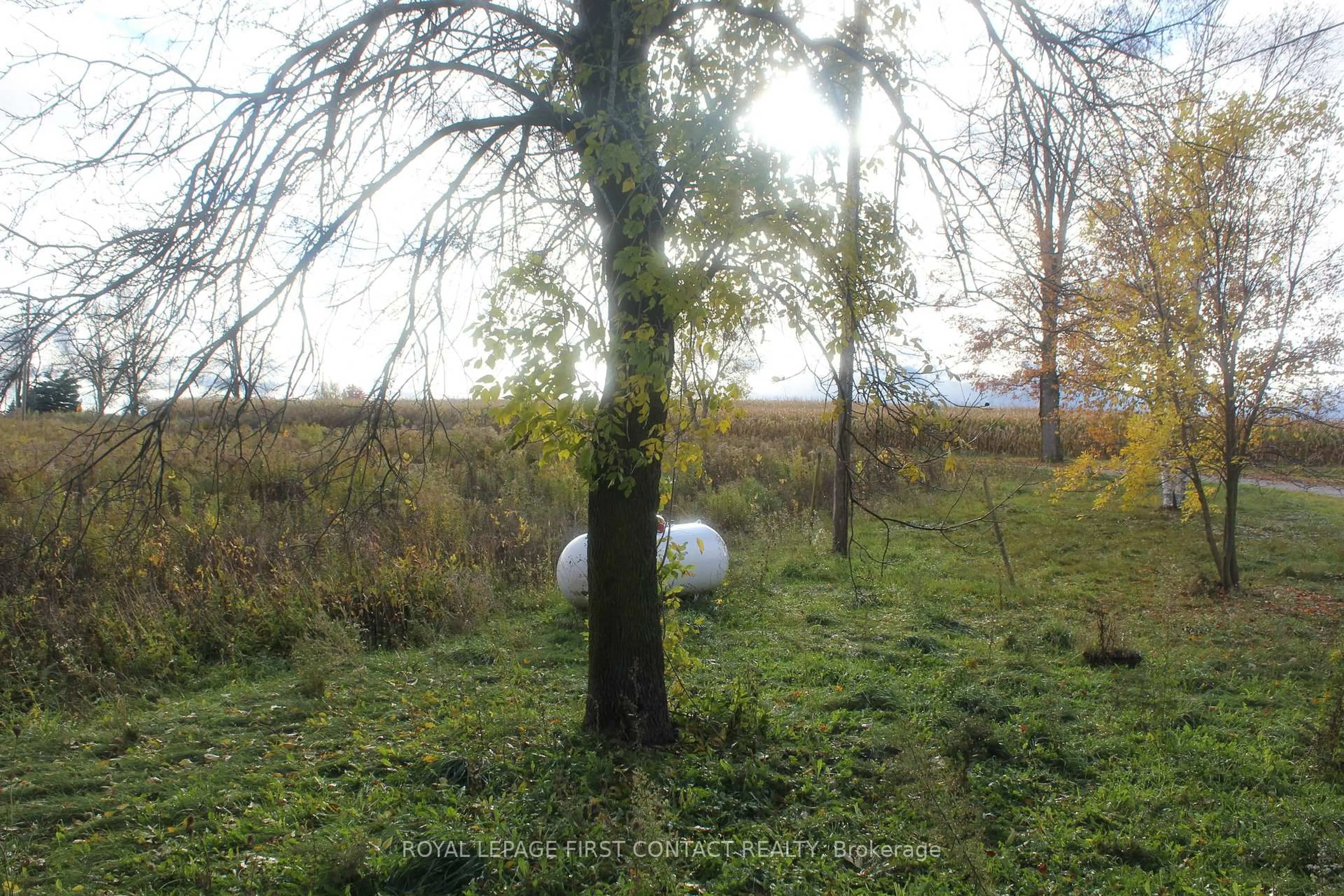 Blurry image for 280 Concession 10 Rd, Brockton Ontario N0G 1J0