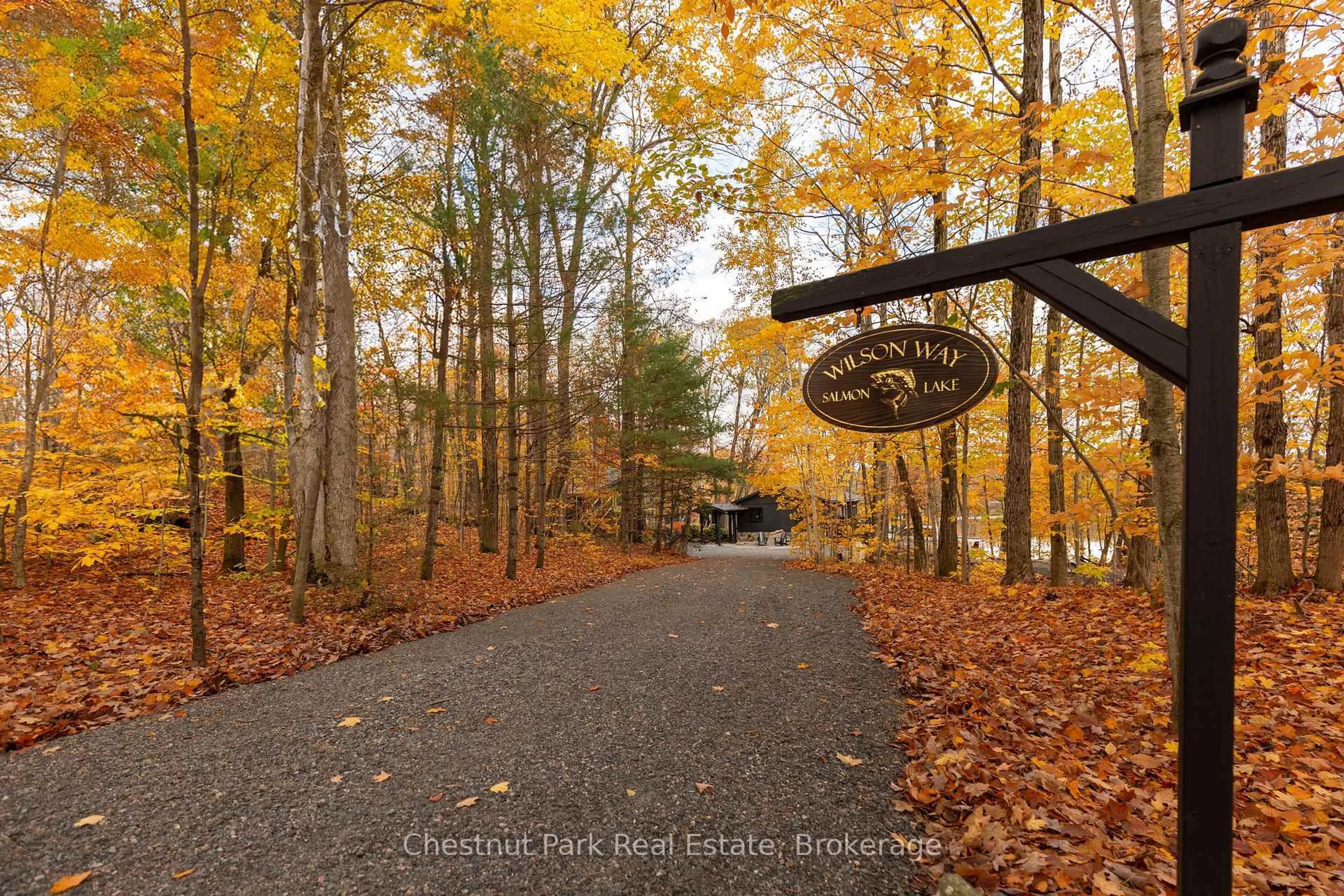 Patio, forest/trees view for 305 Salmon Lake Rd, Seguin Ontario P2A 0B2
