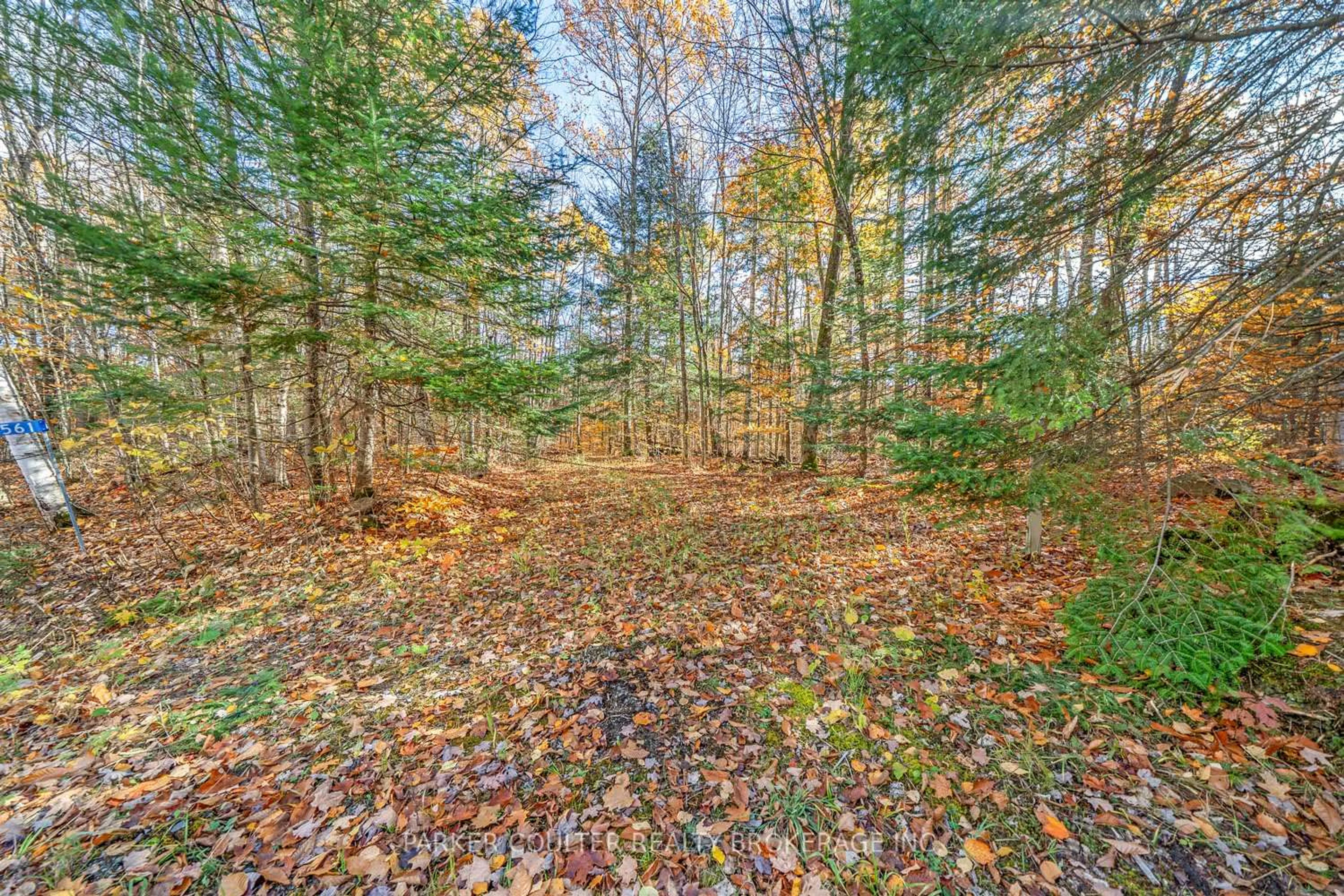 Patio, forest/trees view for 561 White House Rd, Huntsville Ontario P1H 2J3