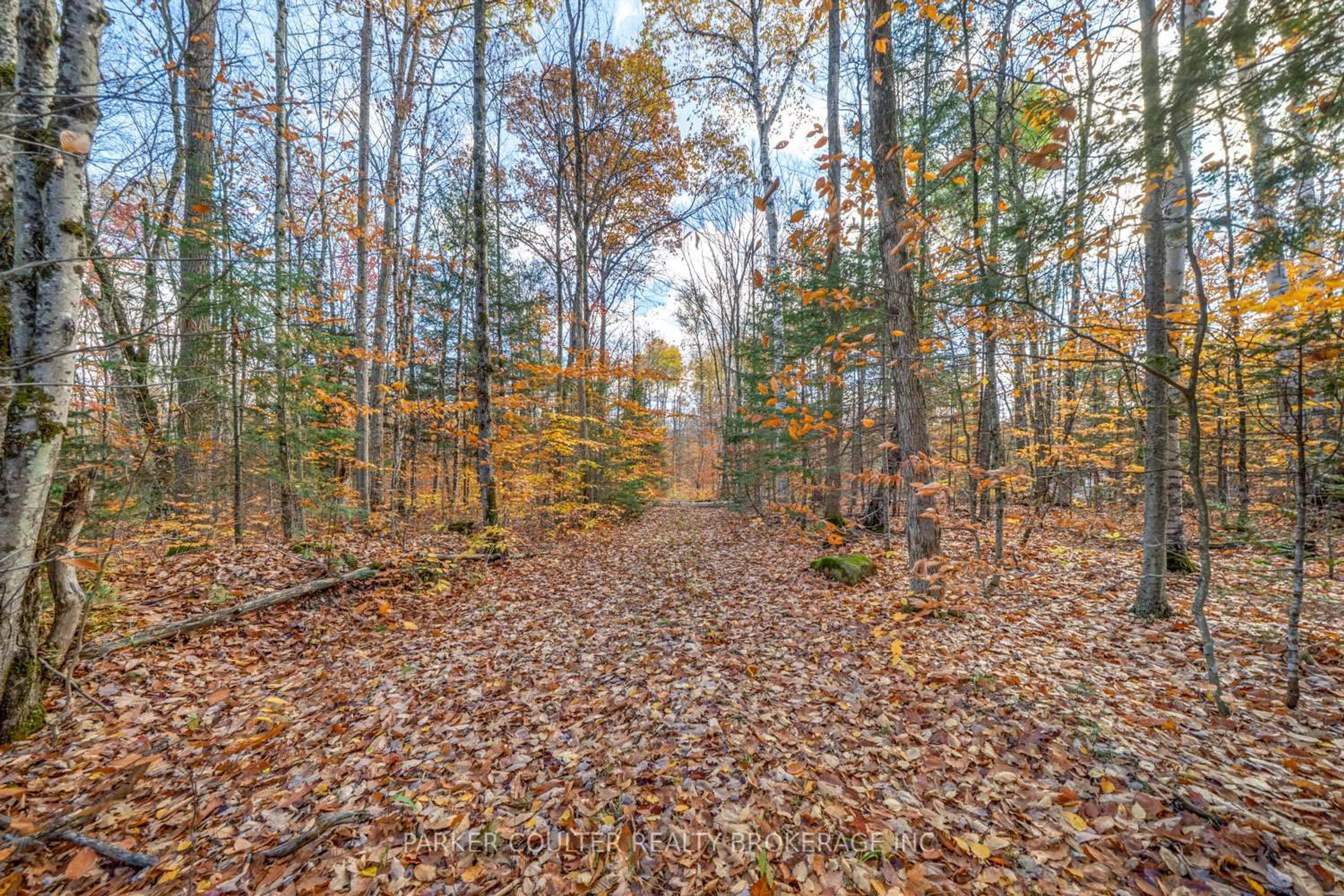 Unknown for 561 White House Rd, Huntsville Ontario P1H 2J3