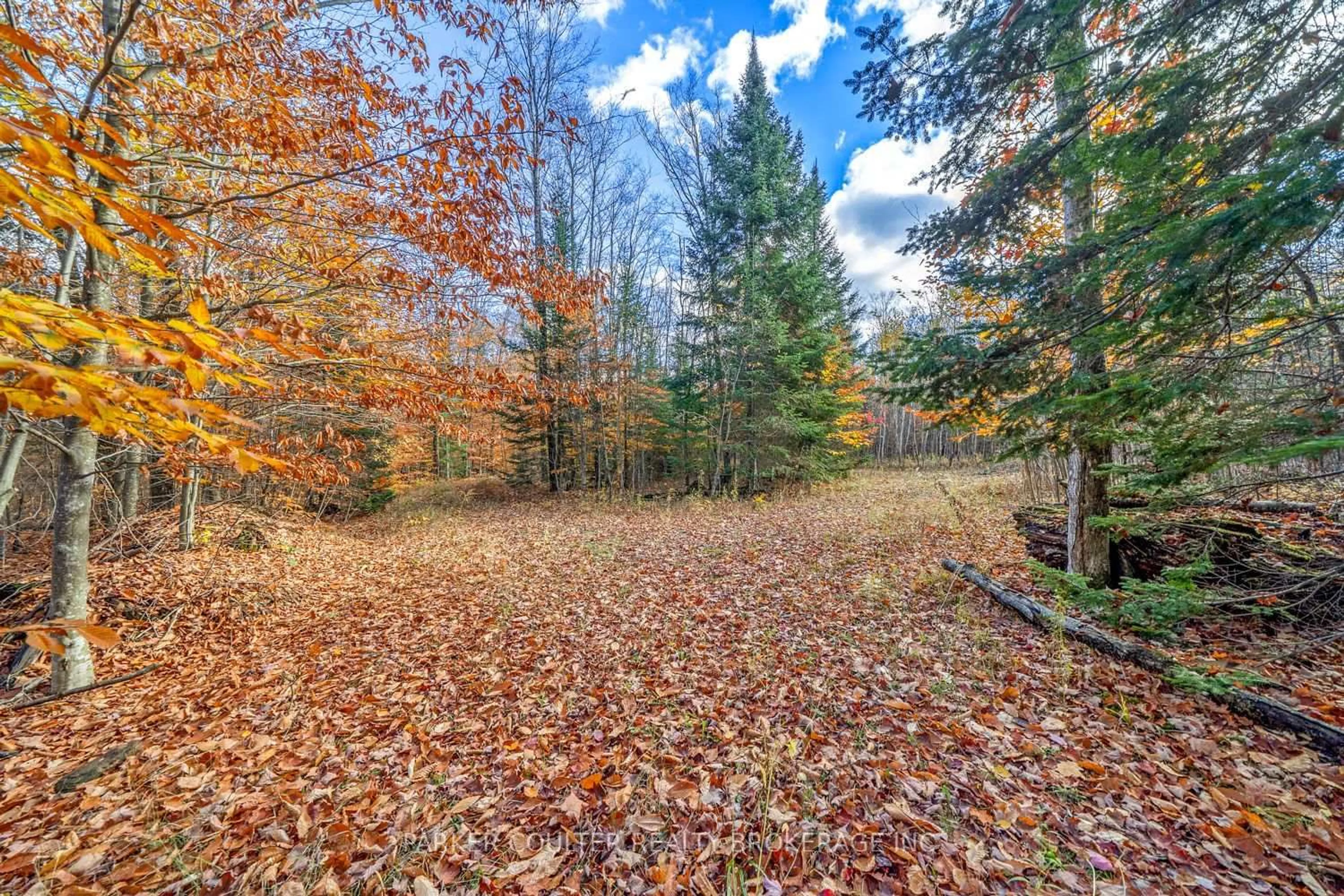Patio, forest/trees view for 561 White House Rd, Huntsville Ontario P1H 2J3